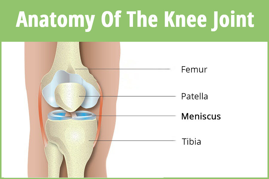 acuut Grafiek Crimineel Do I Need To Address My Meniscus Tear With Surgery? — The Knee Joint