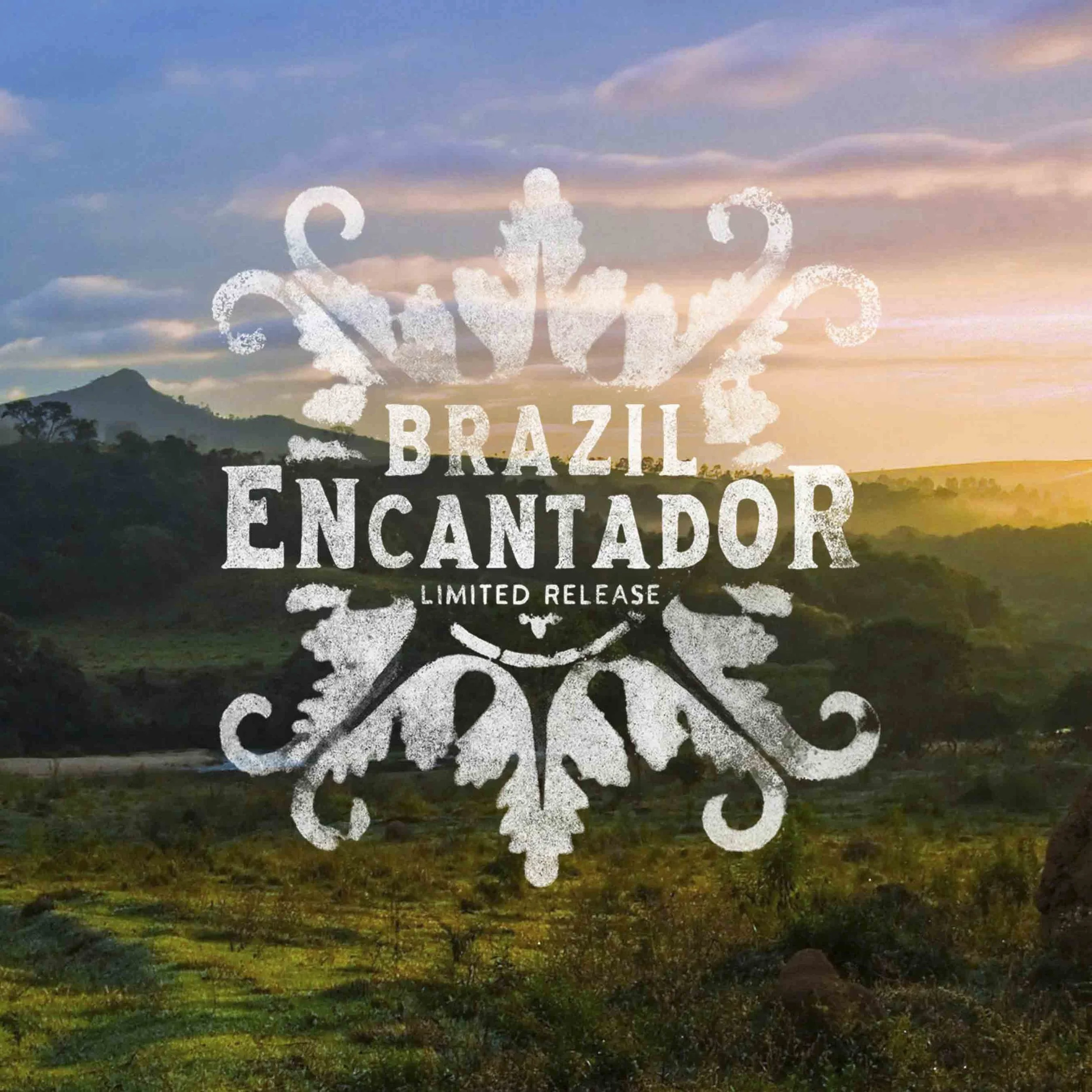 23DTC_5_May_LTO_Brazil_Encantador_Shoprunner-1800x1800.JPG