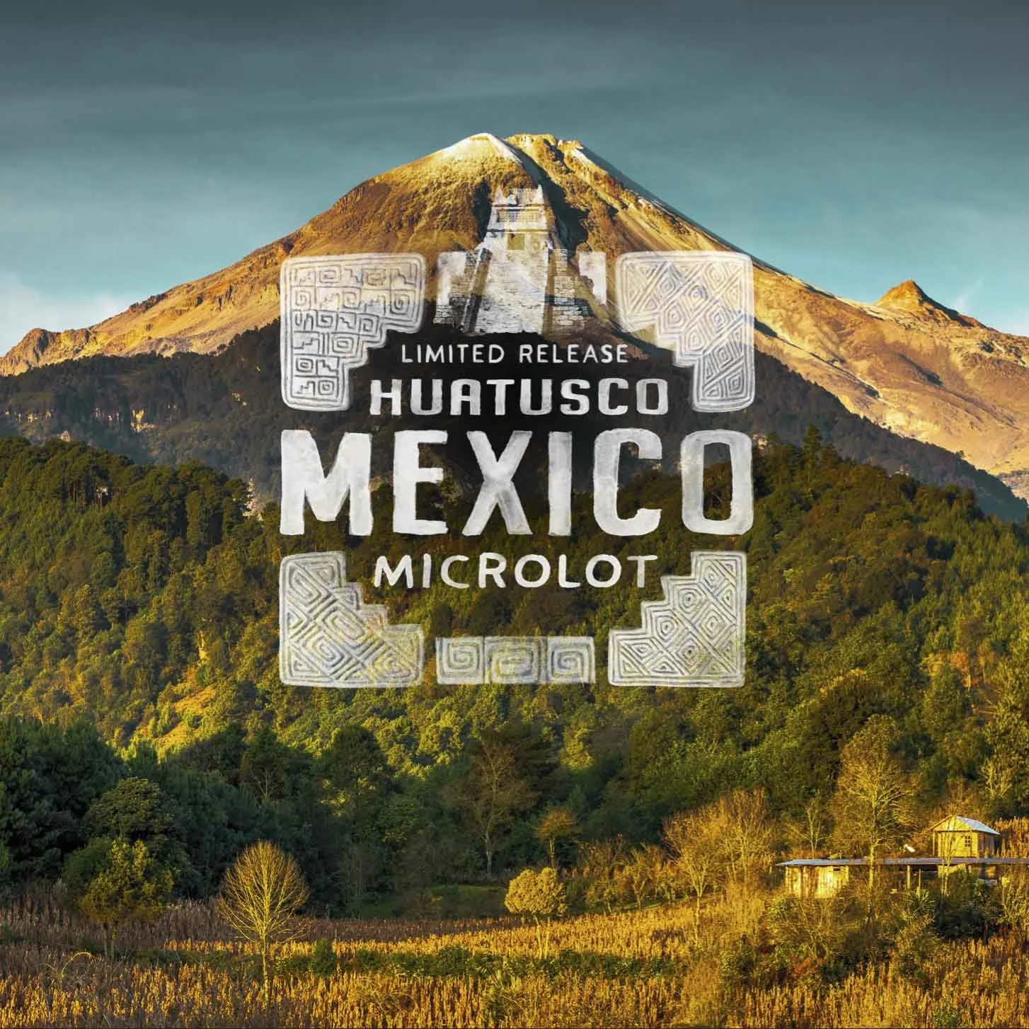 22DTC_09_SEP_LTO_Huatusco _Mexico _Microlot-Lockup_1.JPG