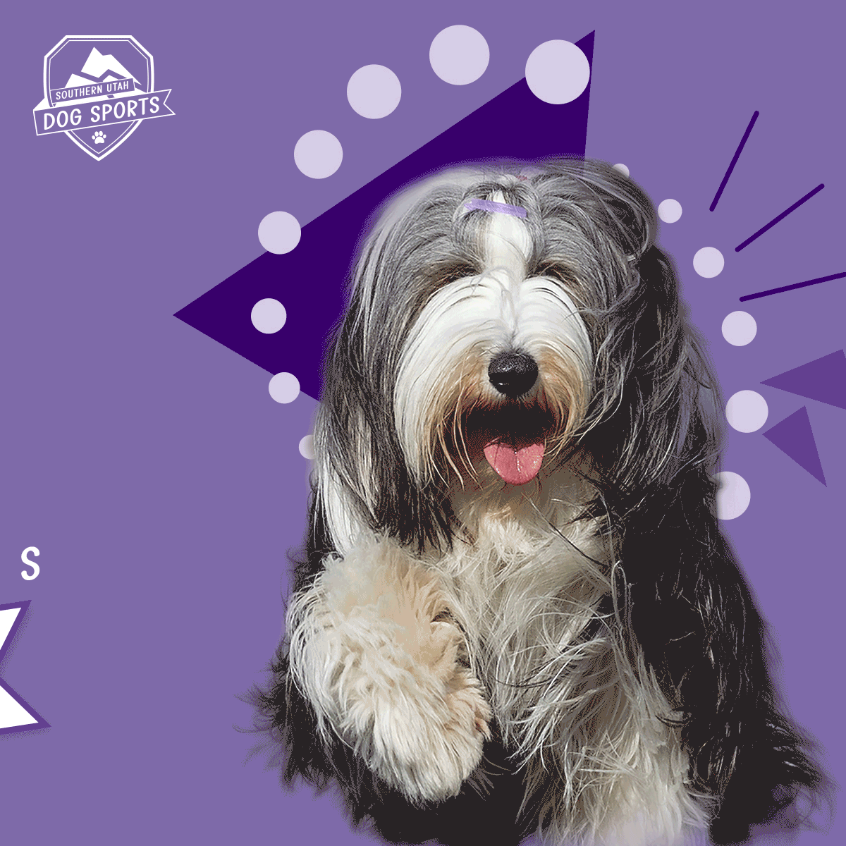 Motion Graphic Design - Southern Utah Dog Sports