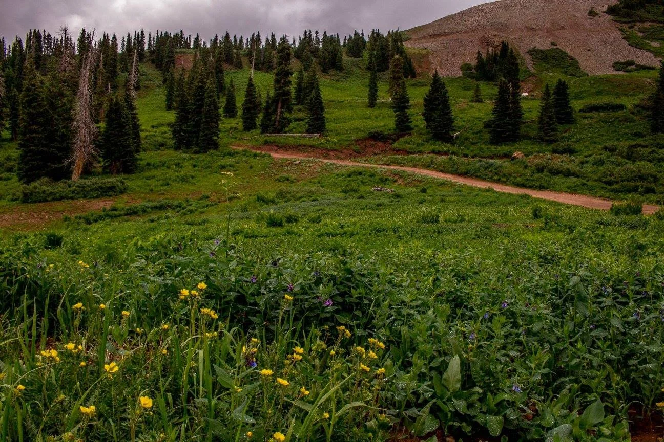 Where is Kennebec Pass in Colorado?