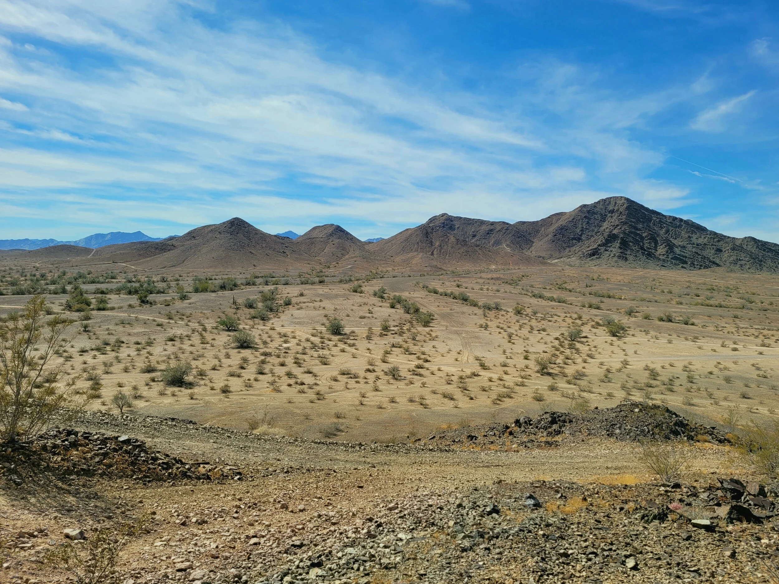 Desert landscape with rocky hills and scattered shrubs under a blue sky.