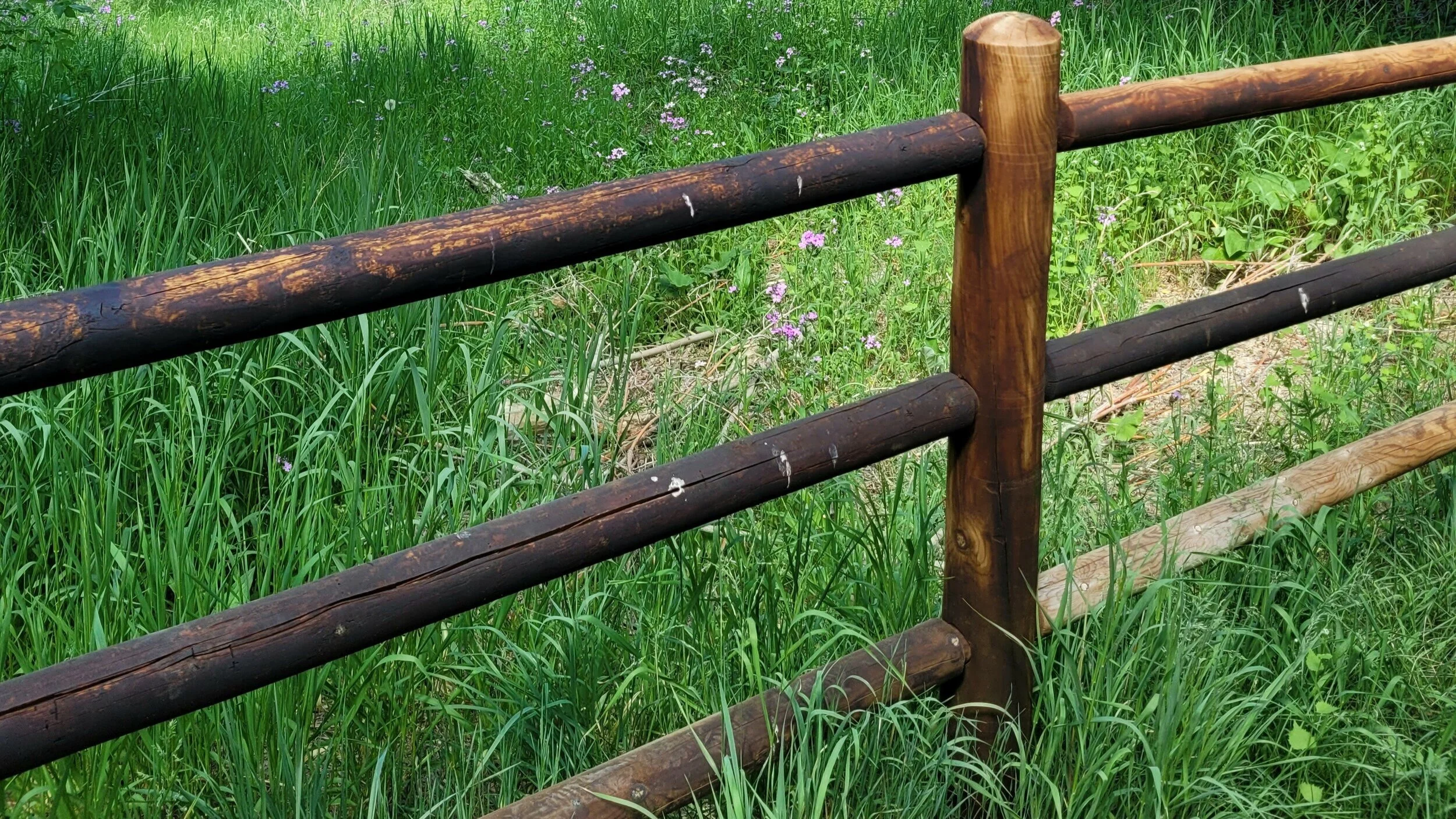 Wooden fence in front of green grass and wildflowers