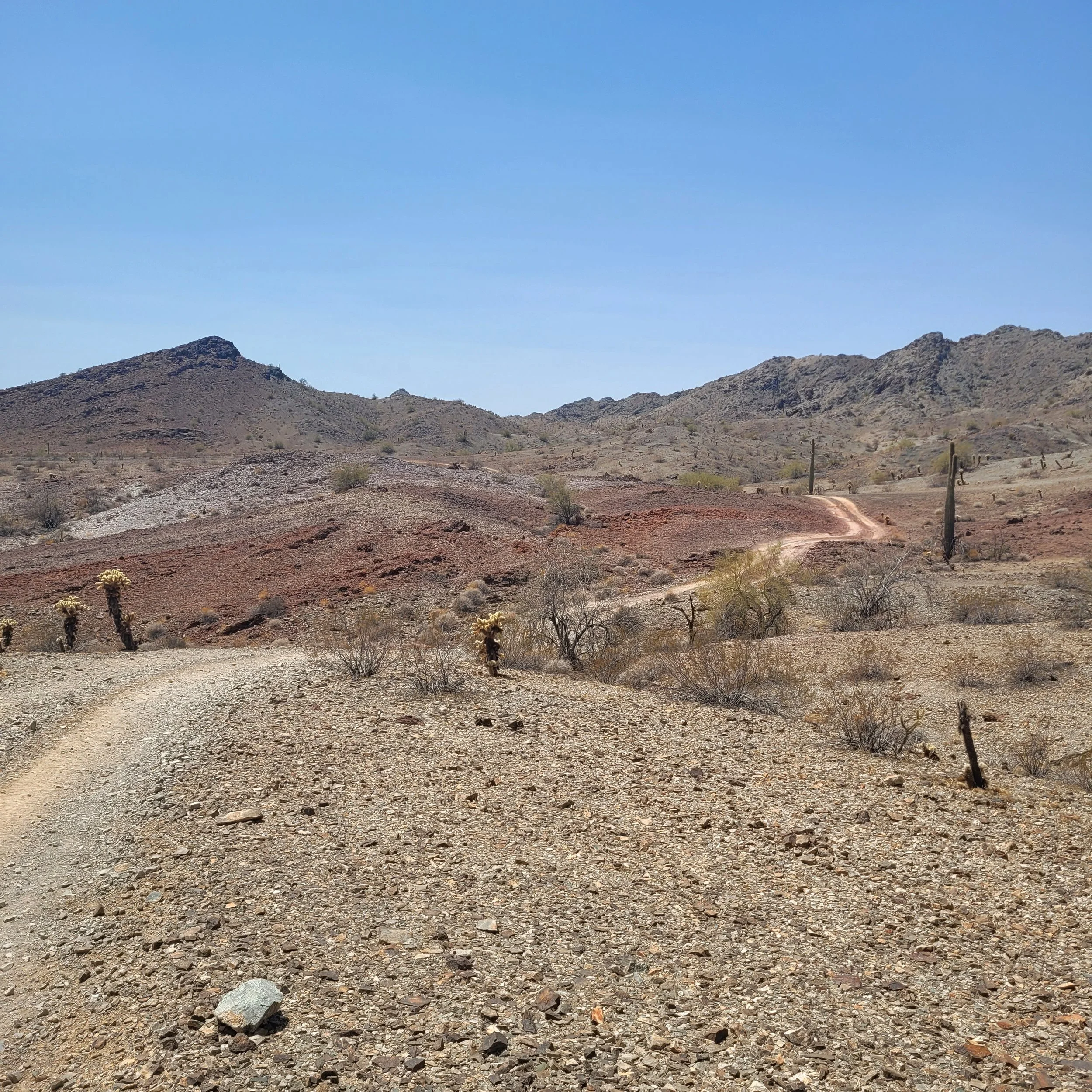 Desert landscape with rocky terrain, sparse vegetation, and dirt road under clear blue sky.