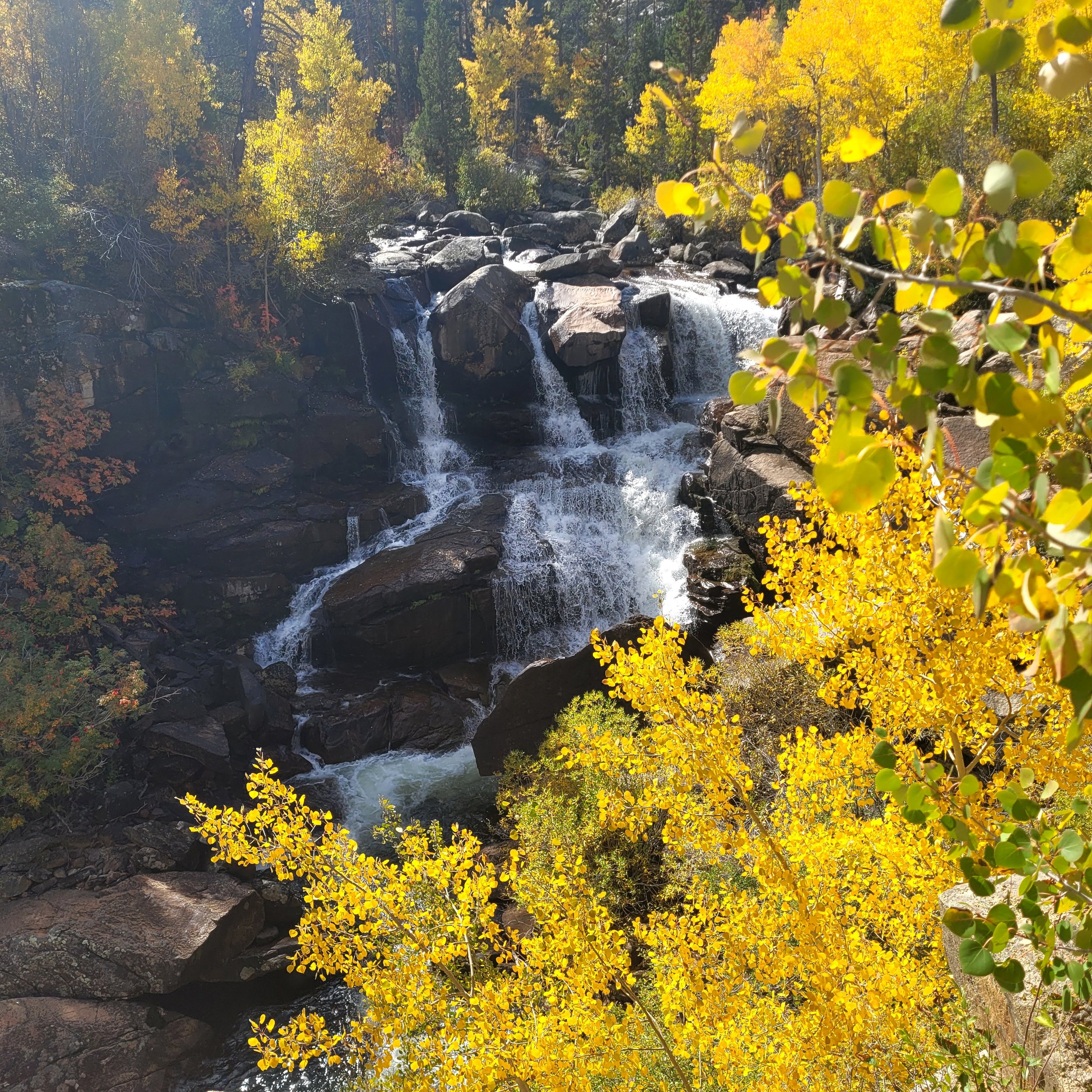 Hiking Popo Agie Falls Trail
