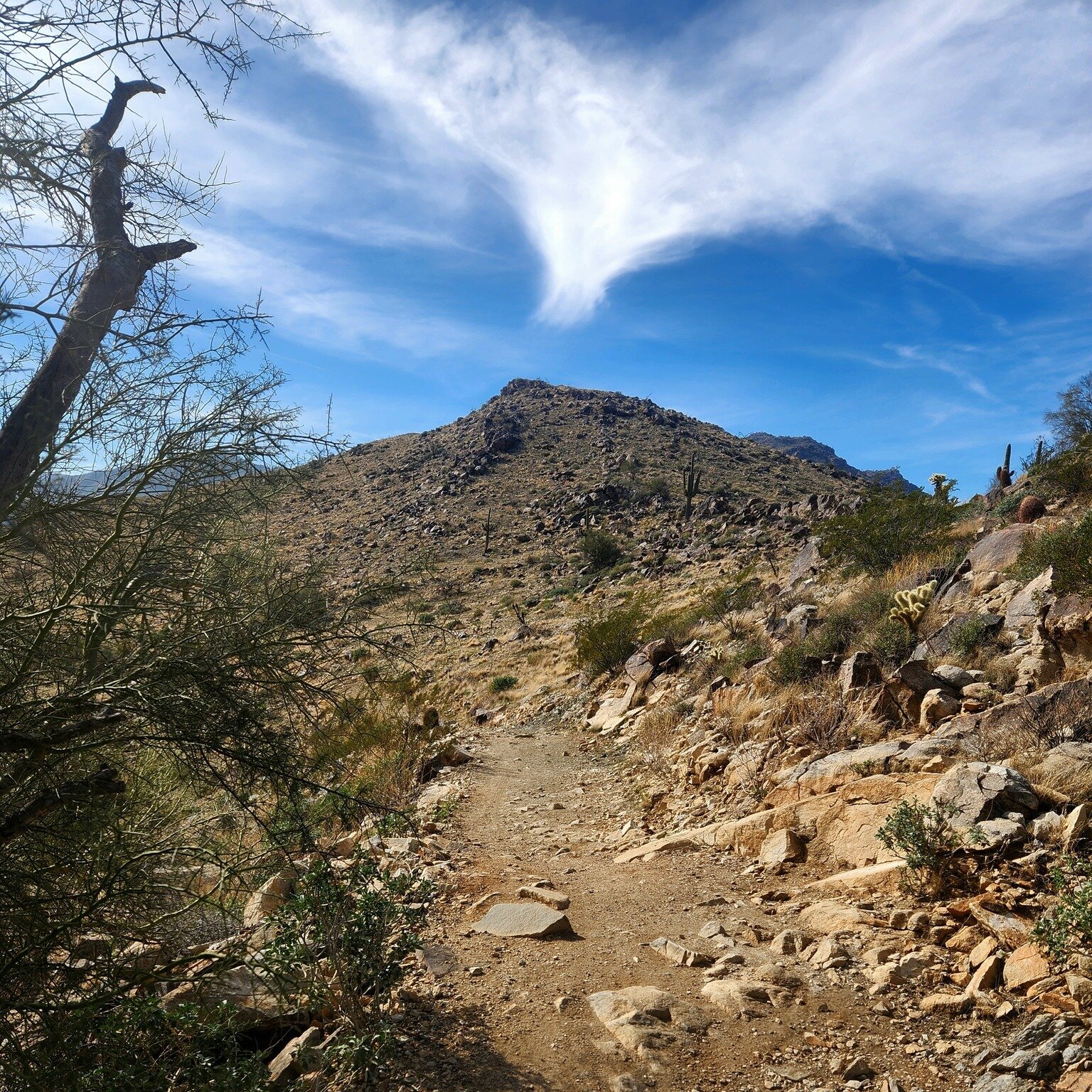 I love our county parks. Plenty of hiking and sightseeing for you to discover. And I especially love it when God shows off His clouds. A nice, simple trail, with some highs and lows, and plenty of desert cacti to take photos of!

 #explore #adventure