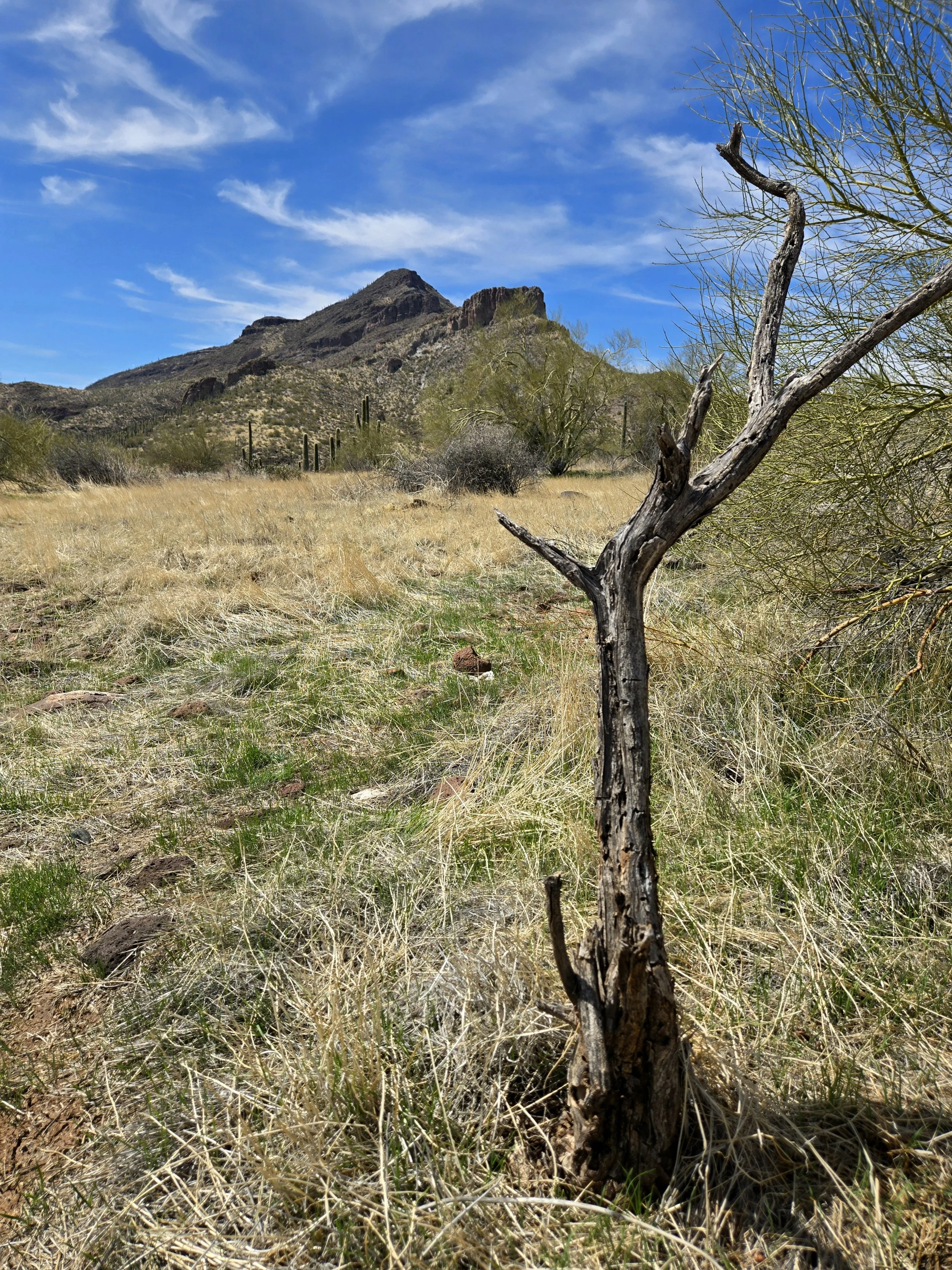 Is It SAFE to Hike as a Solo Female Hiker?
