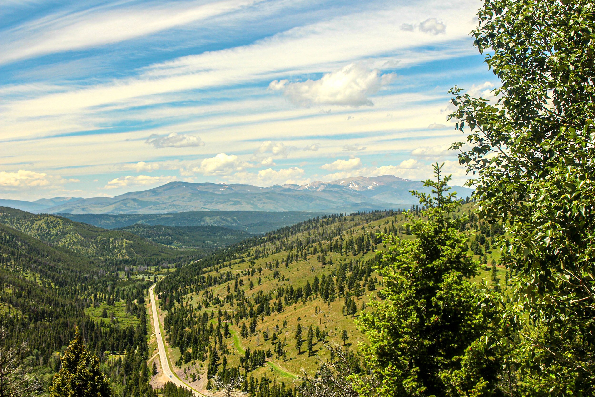 Work Camping: Returning or Leaving?
