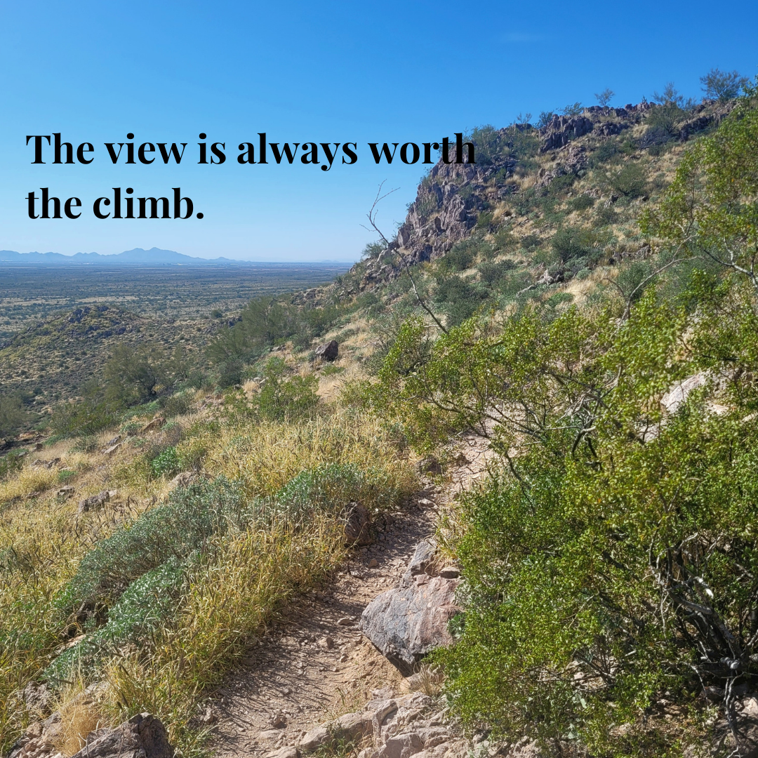 Desert landscape with rocky path and greenery, distant mountains under clear blue sky, text "The view is always worth the climb."