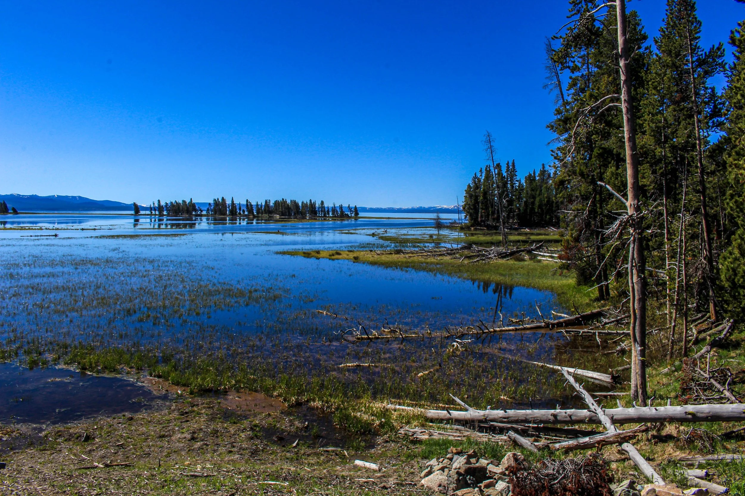 Destruction at Yellowstone 2022