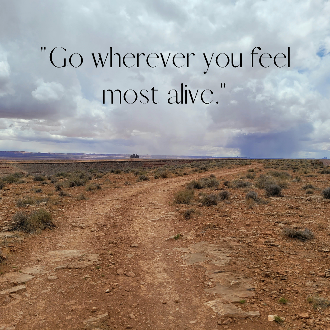 Desert landscape with a dirt path, sparse vegetation, and distant mountains under a cloudy sky; text overlay says "Go wherever you feel most alive."