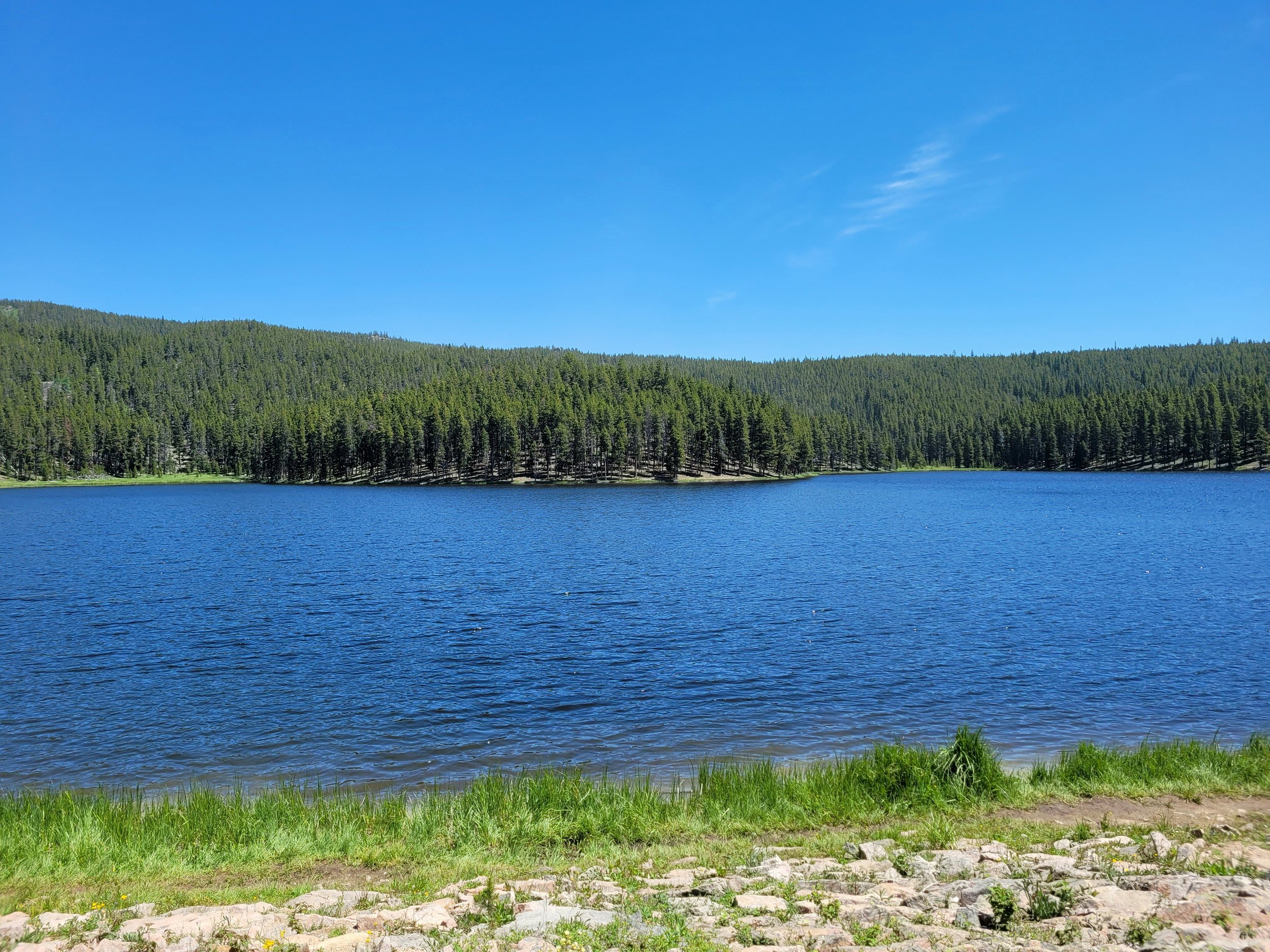 20210629_115137.jpg