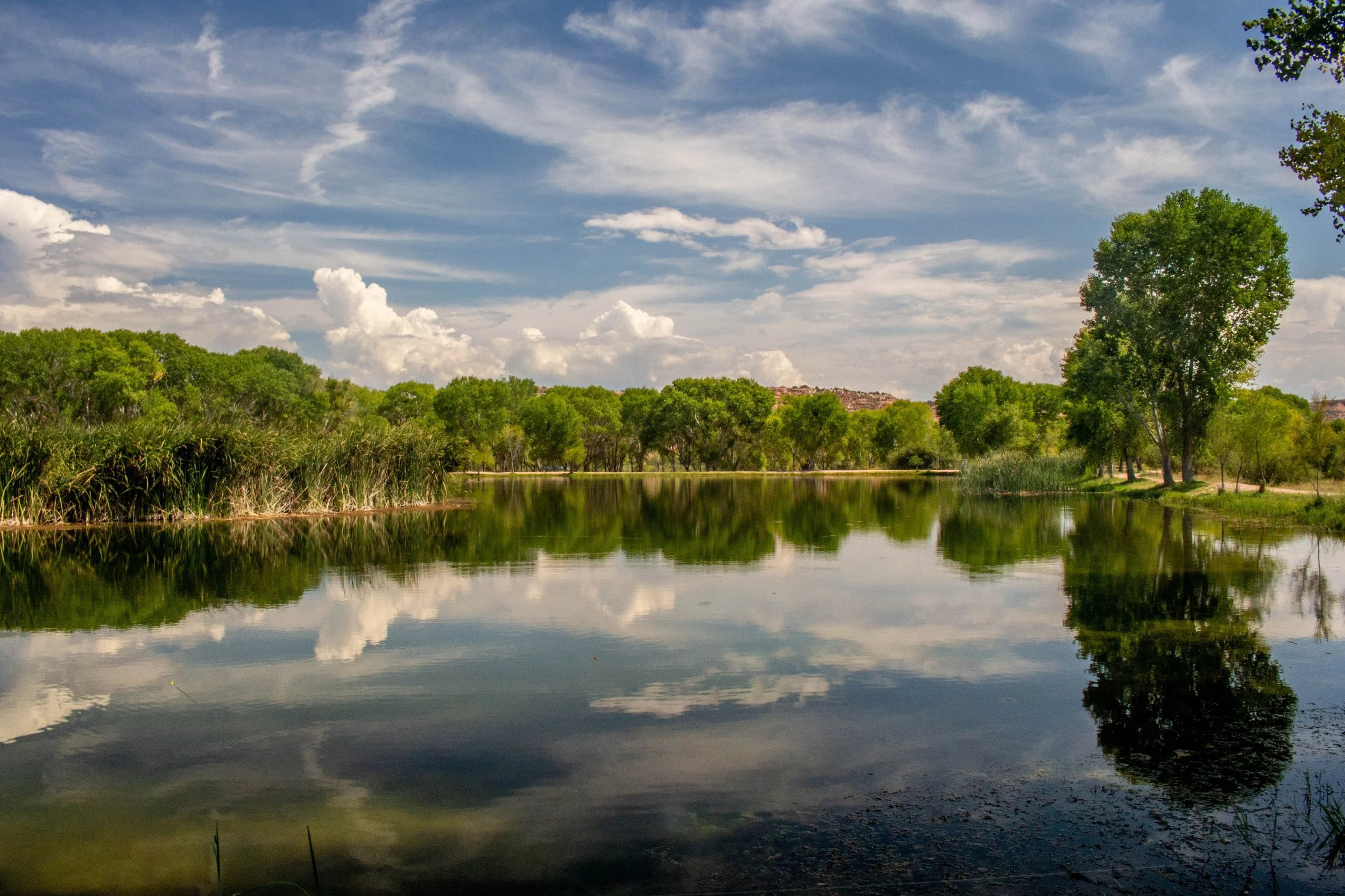 Lake surrounded by trees, blue sky with clouds