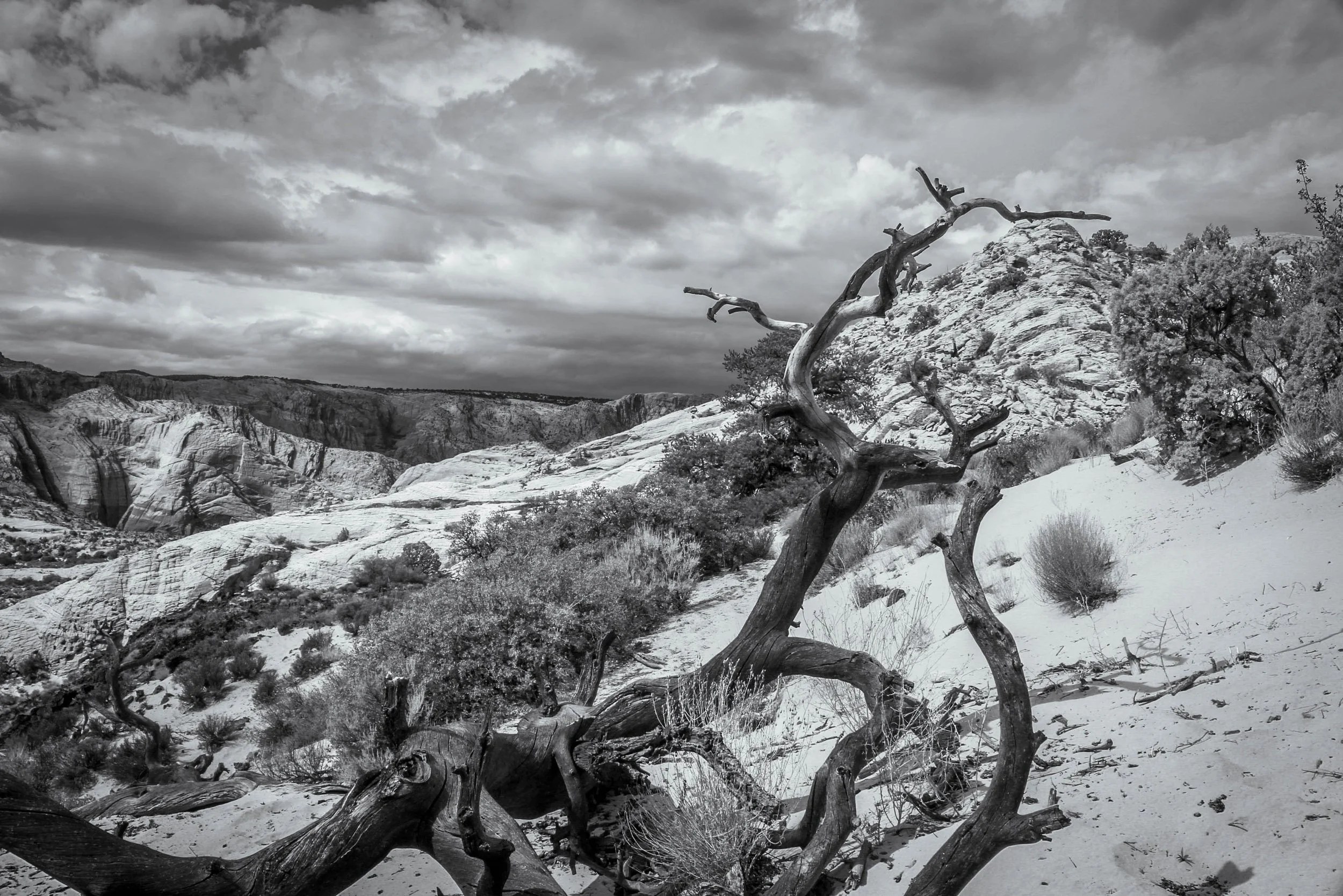 Hiking clouds, desert,  trees