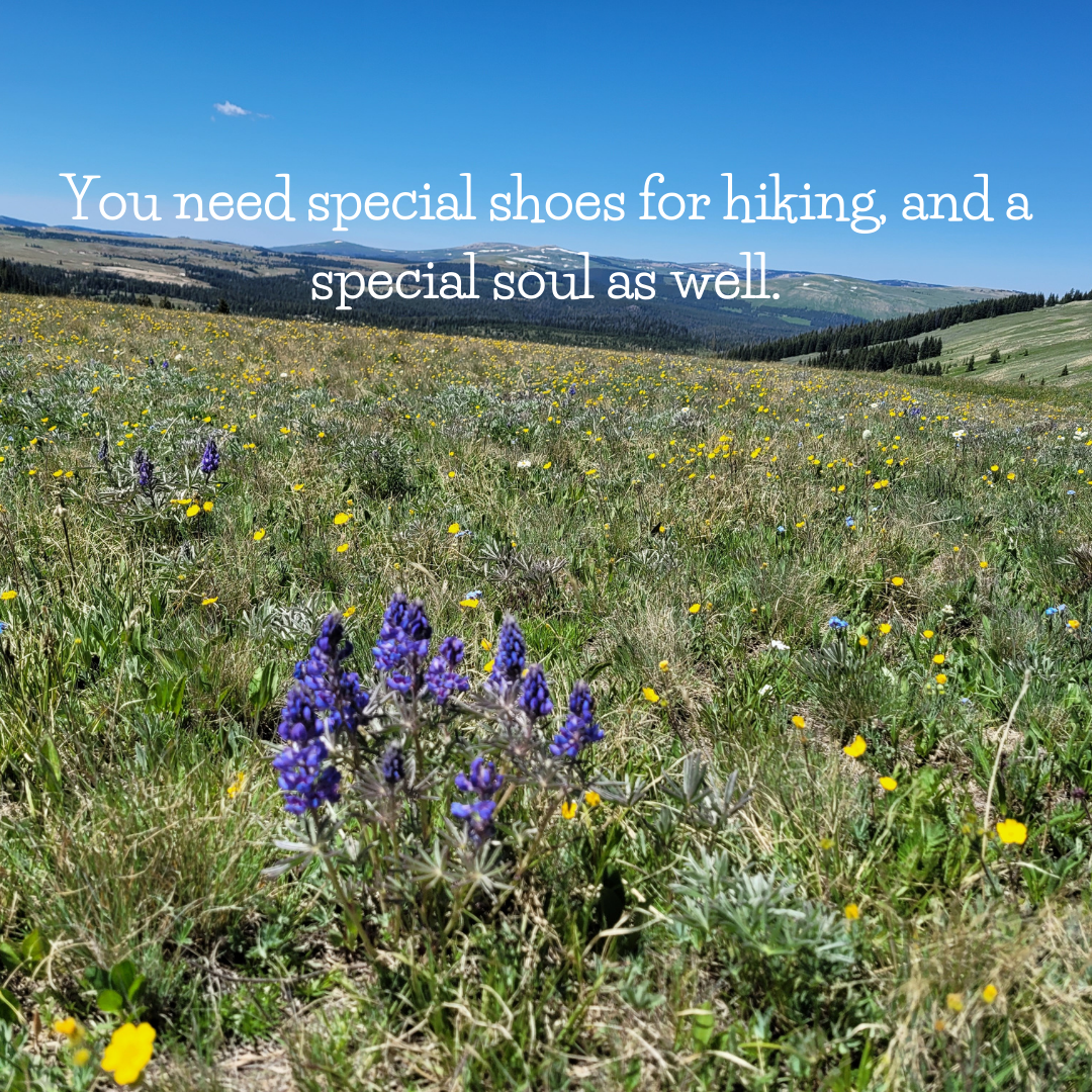 Scenic mountain meadow with purple and yellow wildflowers, blue sky, and text: 'You need special shoes for hiking, and a special soul as well.'