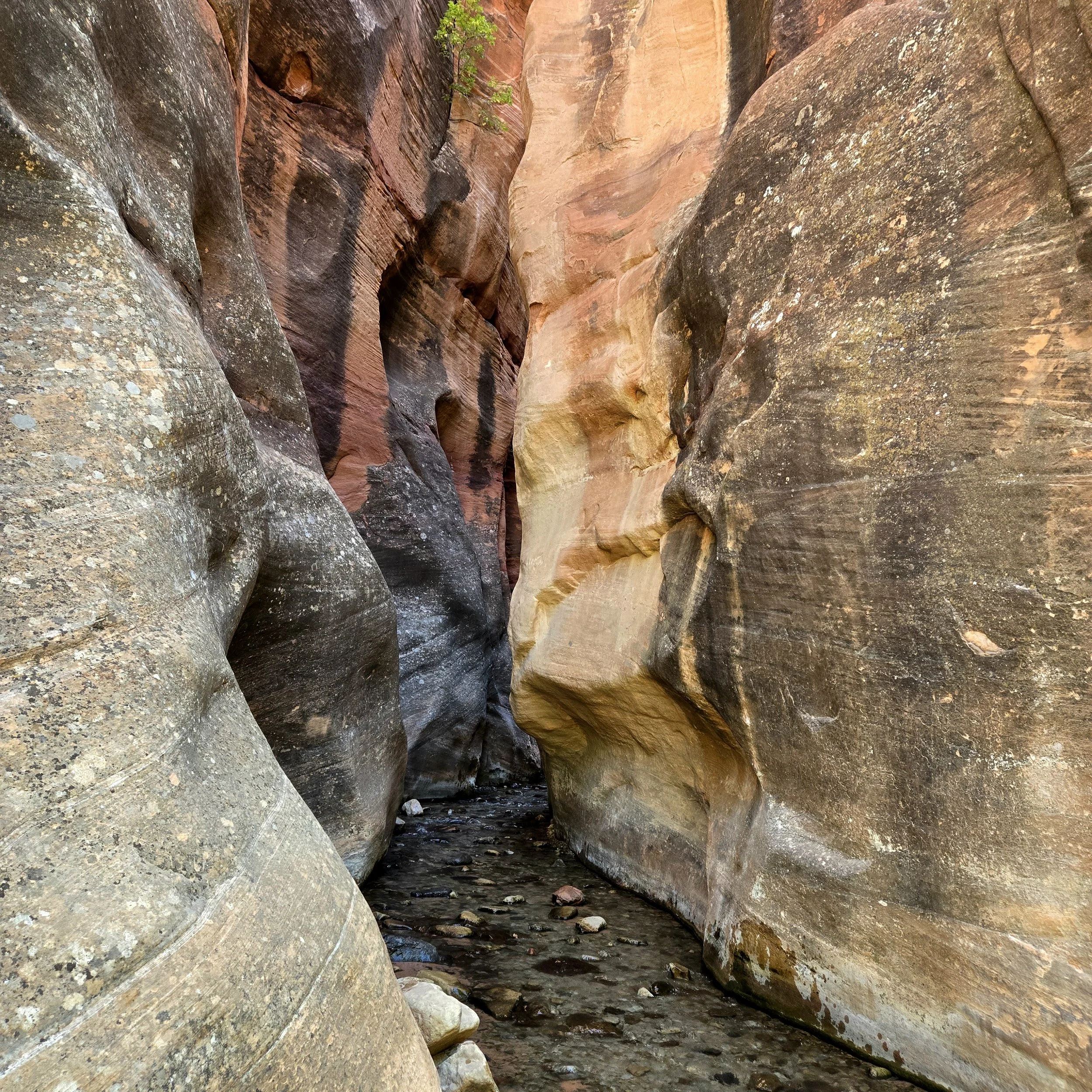 Entrance into the slot canyon at Kanarra Falls, Utah