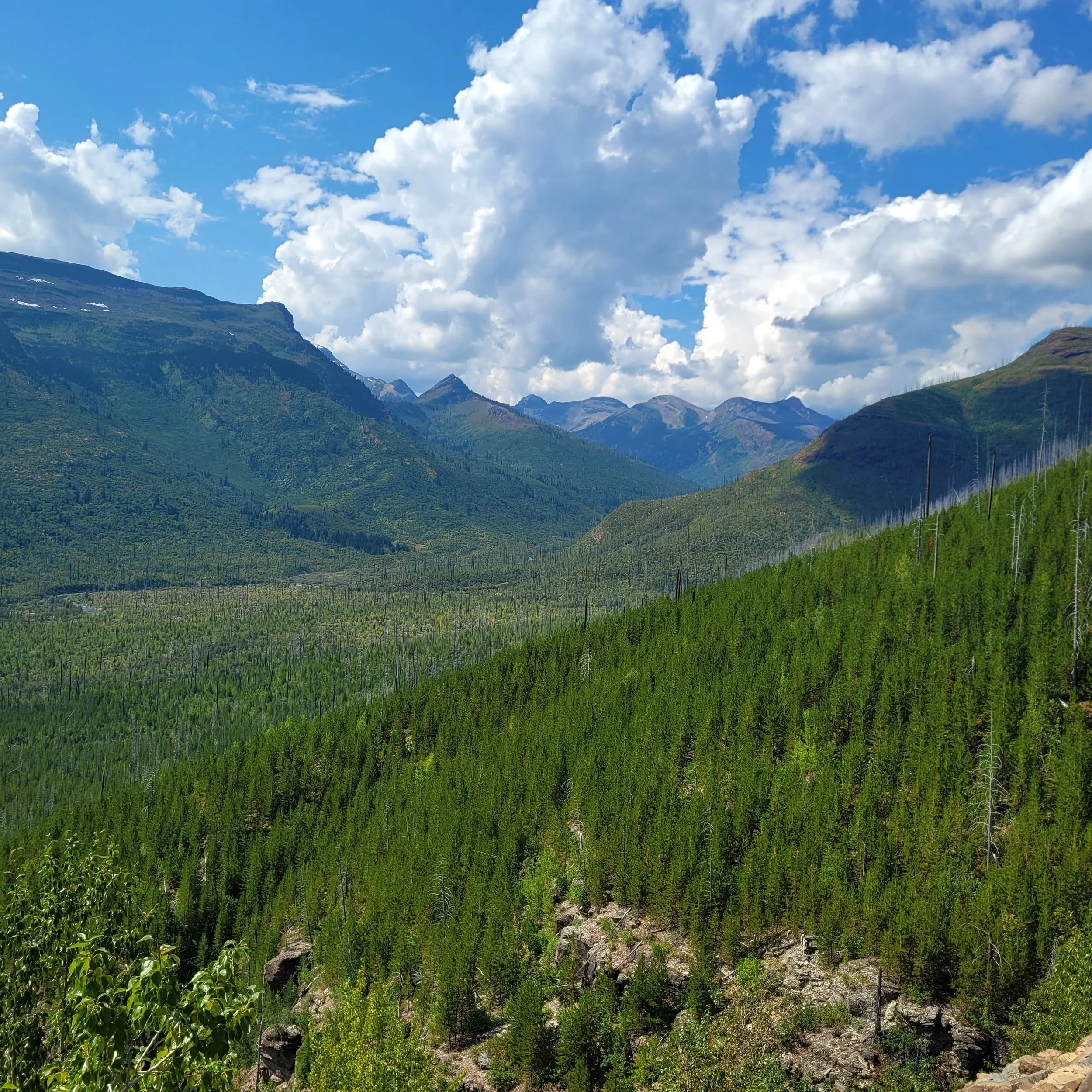 Beautiful Glacier National Park