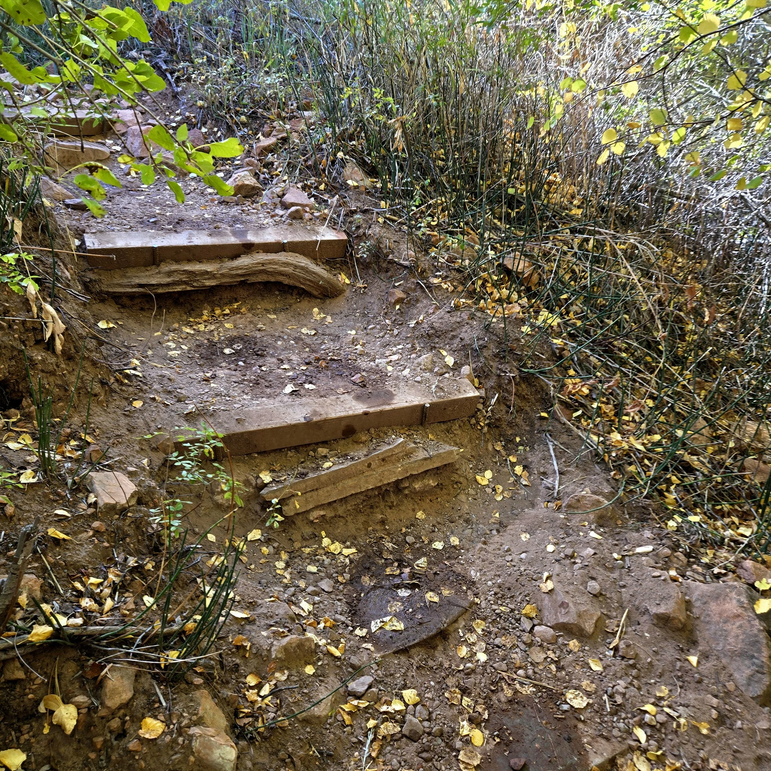 Steps to the Kanarra Falls, with yellow leaves gracing your steps.