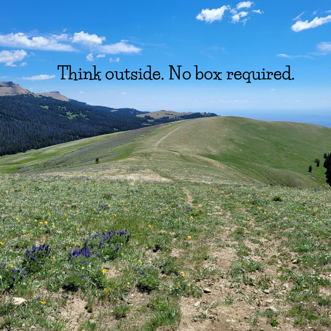 Scenic mountain landscape with green hills, wildflowers, and a blue sky. Text reads, "Think outside. No box required."