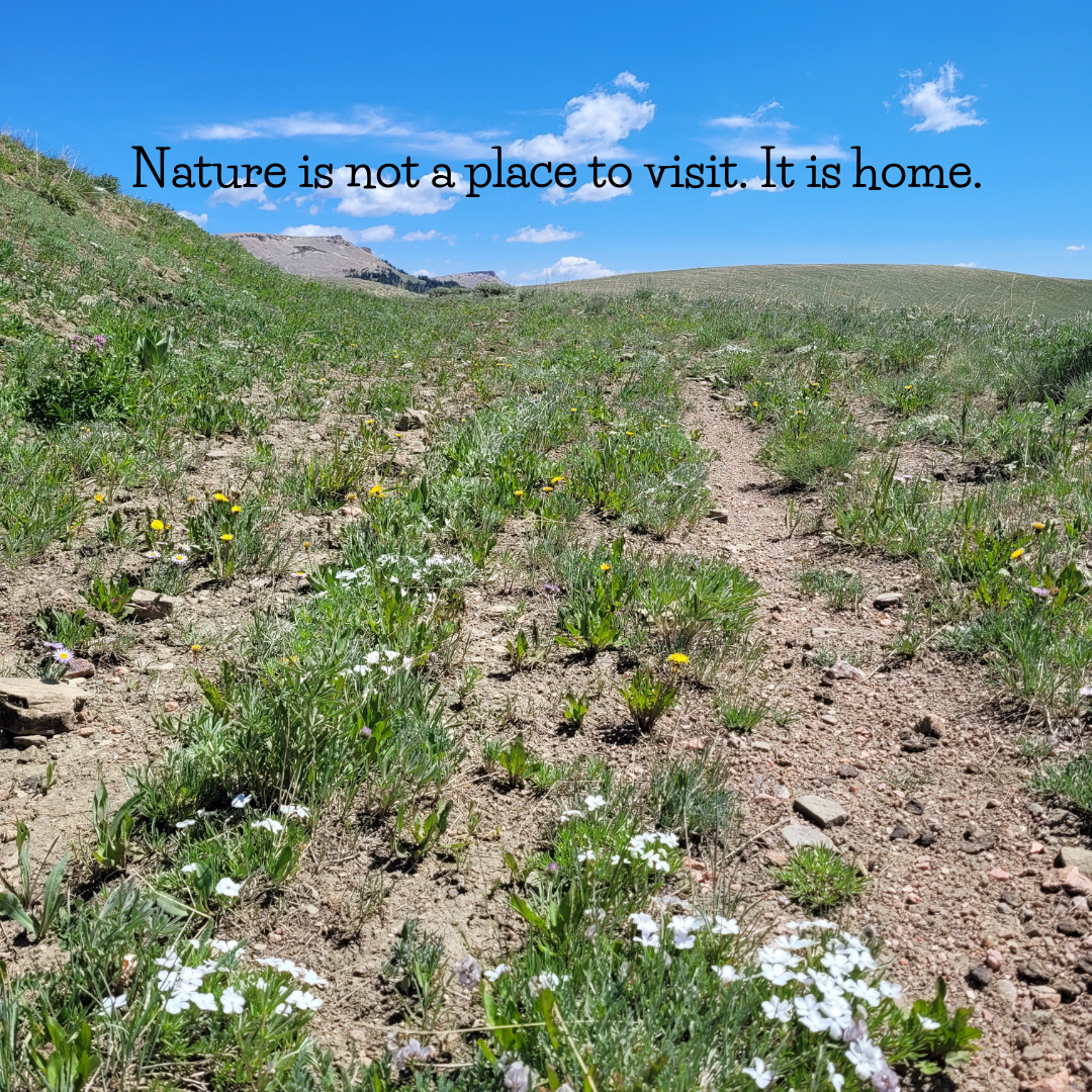 Grass and wildflowers on a dirt path with a blue sky and quote "Nature is not a place to visit. It is home."