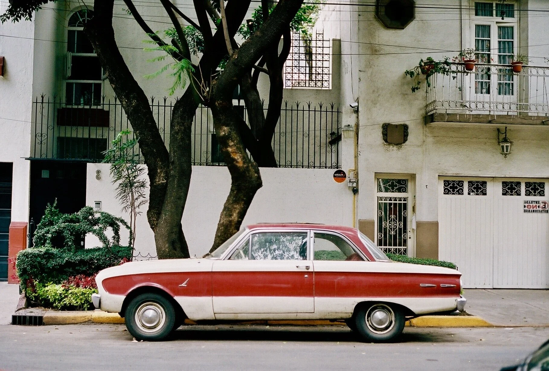 Condesa, Mexico City, 2017.