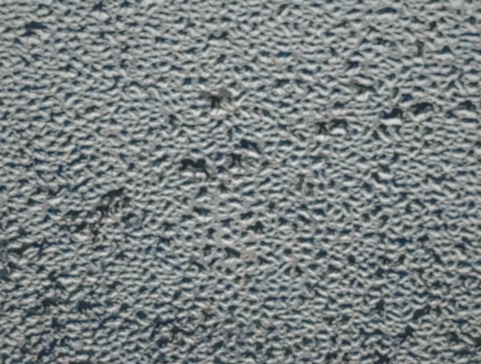IMG_3027.jpeg