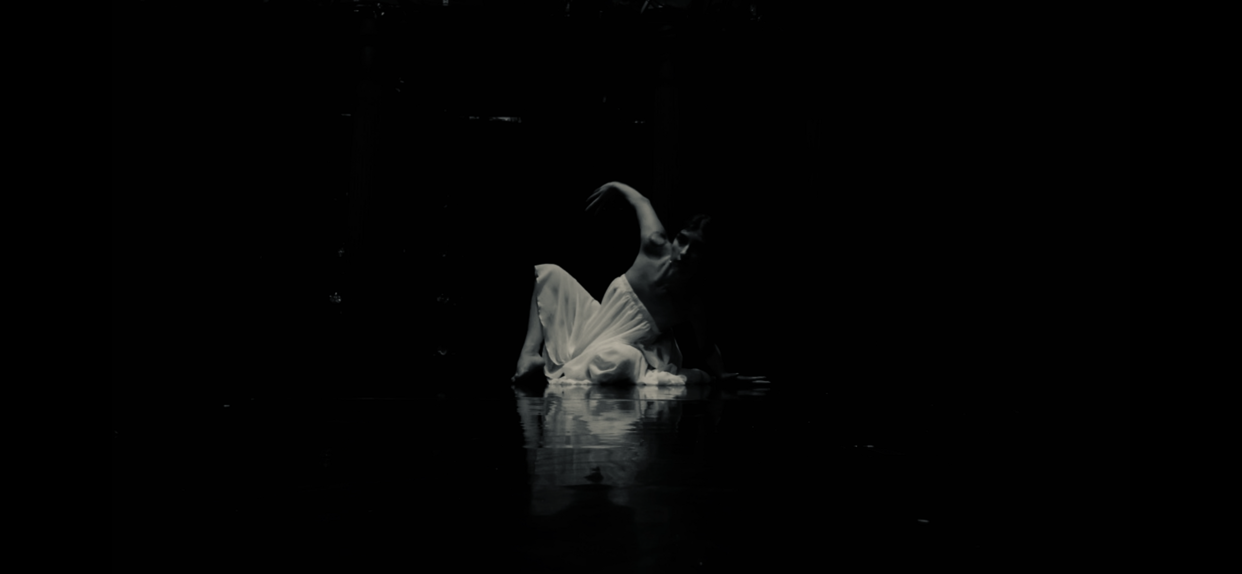 IMG_8117.PNG