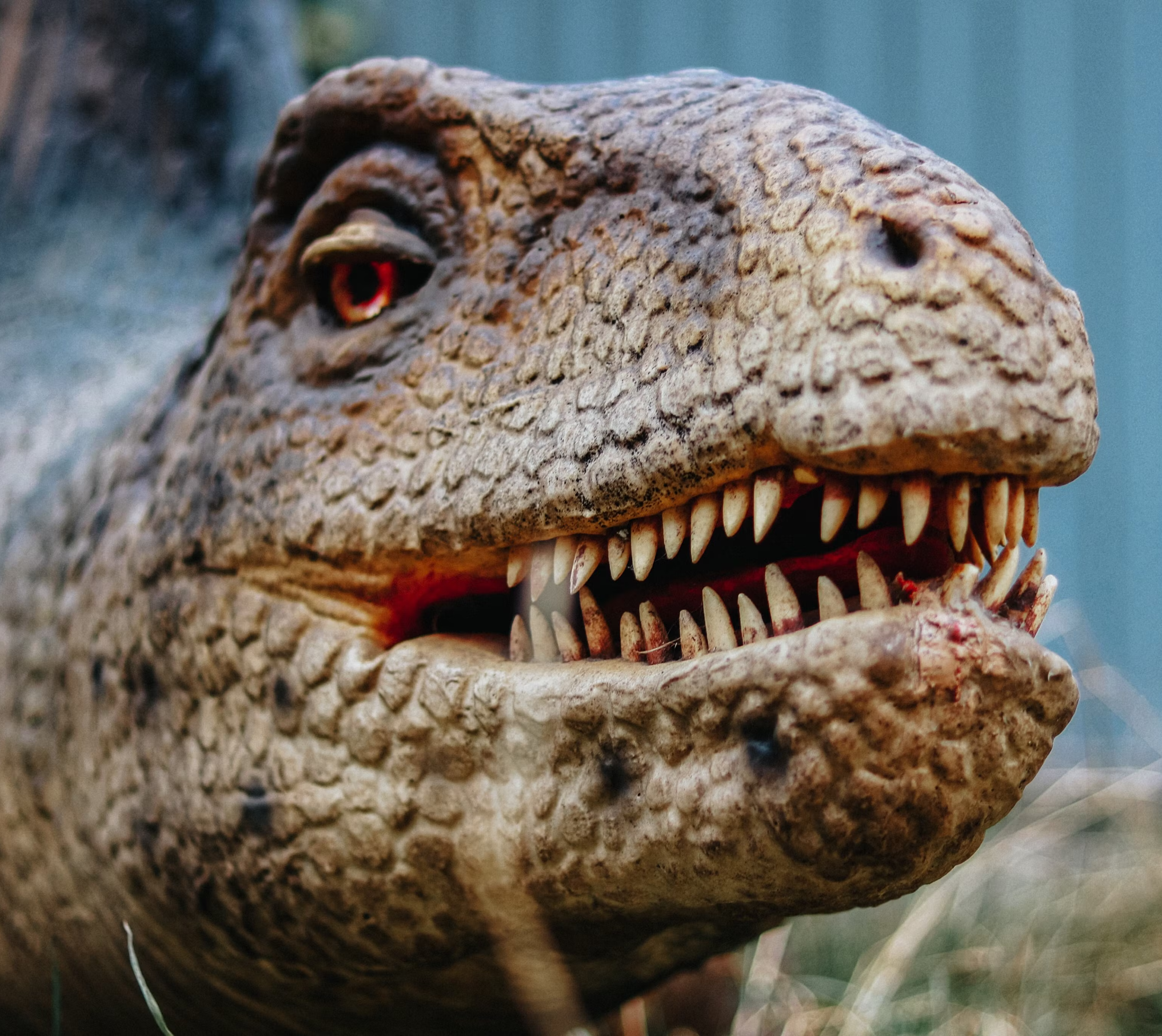 Episode 304: Same Thing as the Stegosaurus