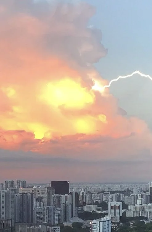 Reflections Of An Expatriate Artist