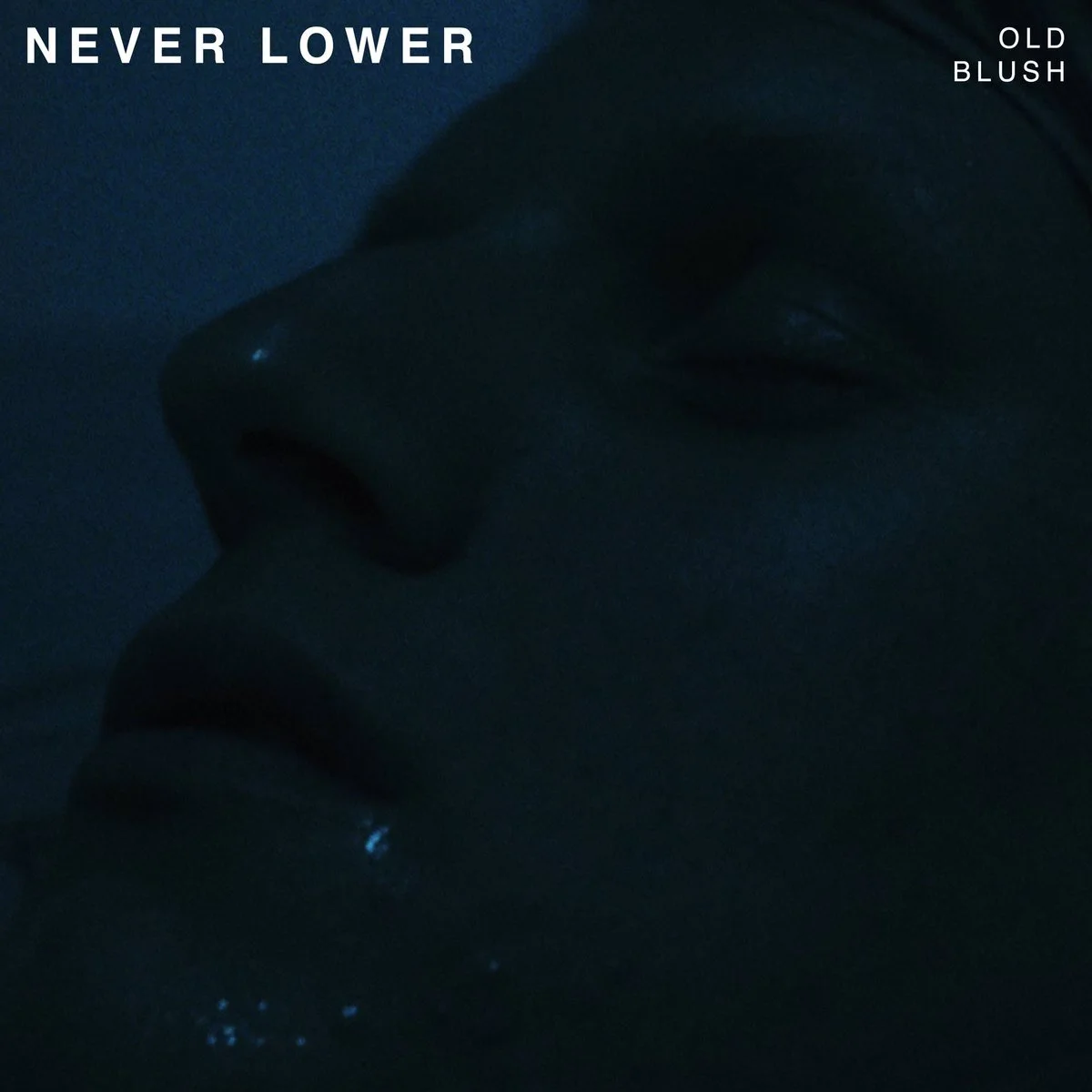 Never Lower by Old Blush (2019)