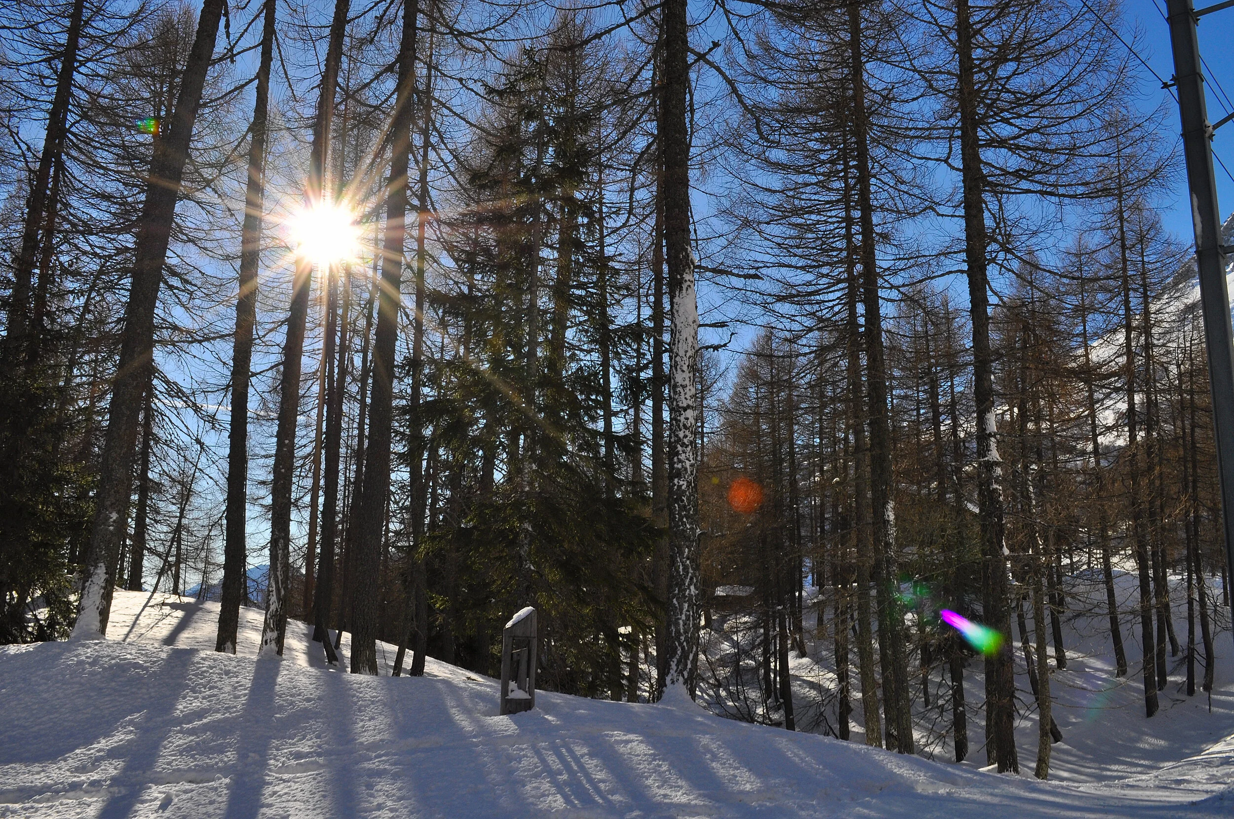 2018 - 01 - 075 Capodanno.JPG