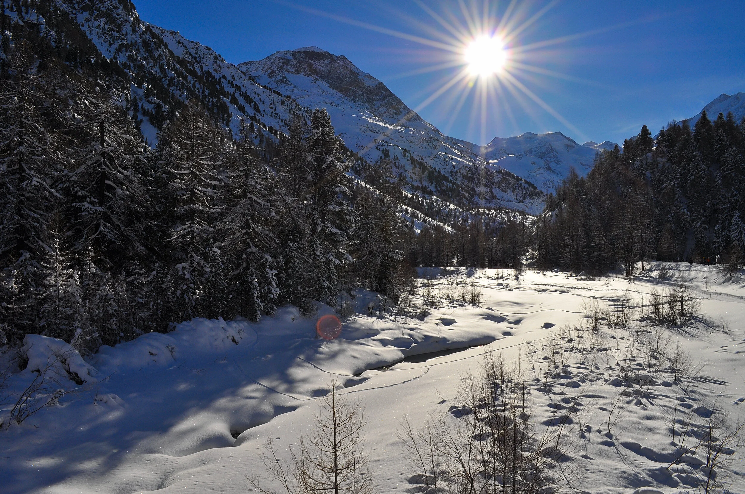 2018 - 01 - 155 Capodanno.JPG