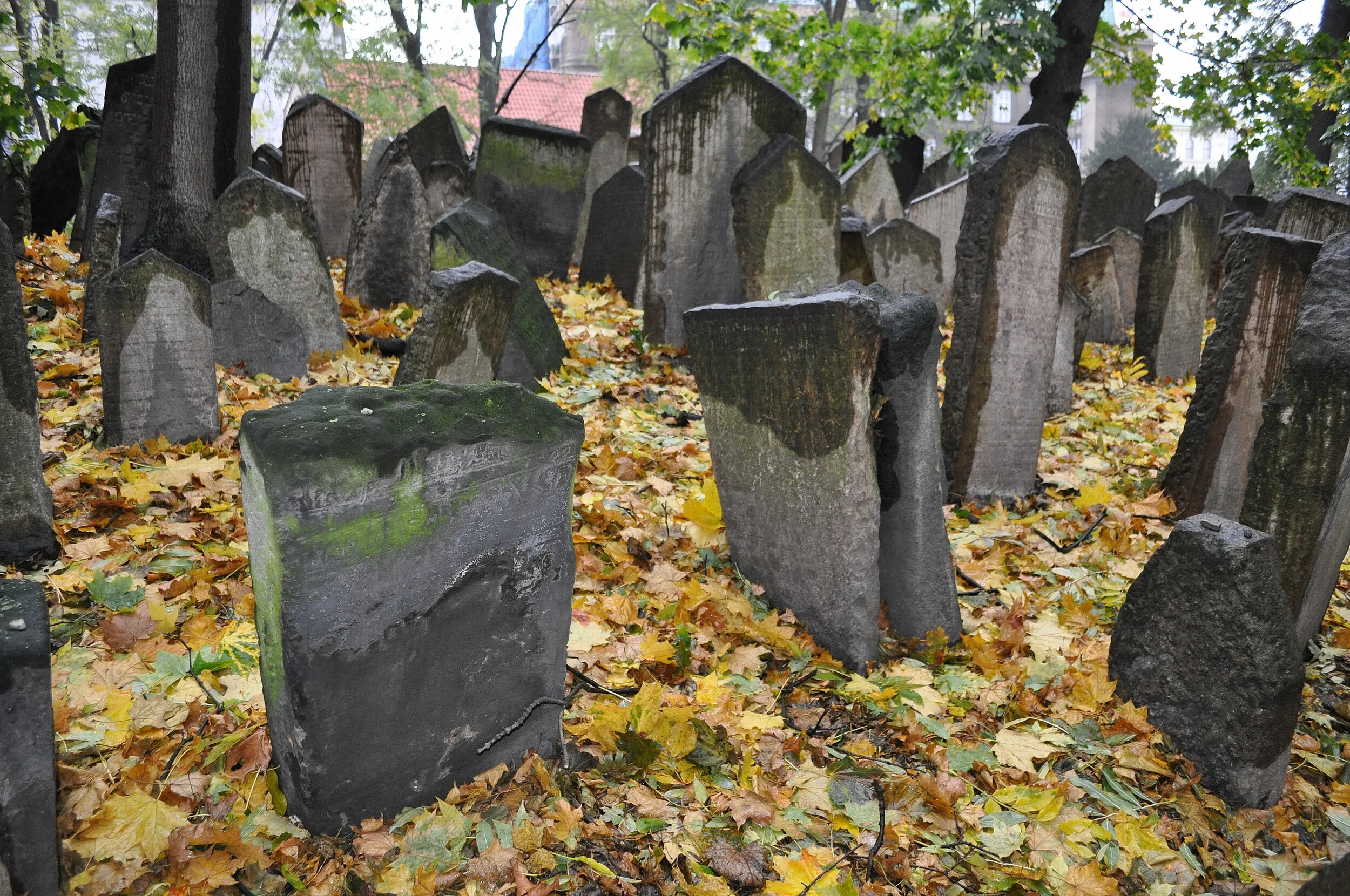 2017 - 10 - 195 Praga.JPG