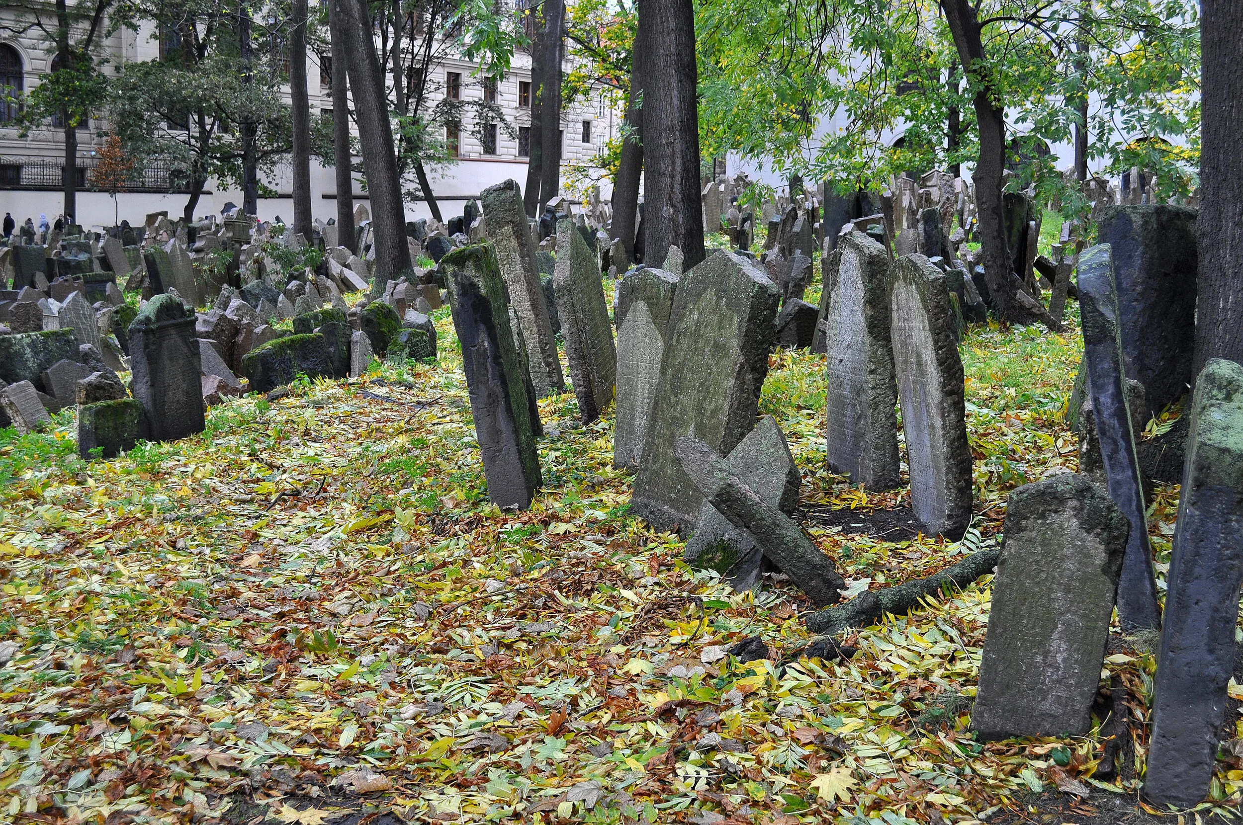 2017 - 10 - 172 Praga.JPG