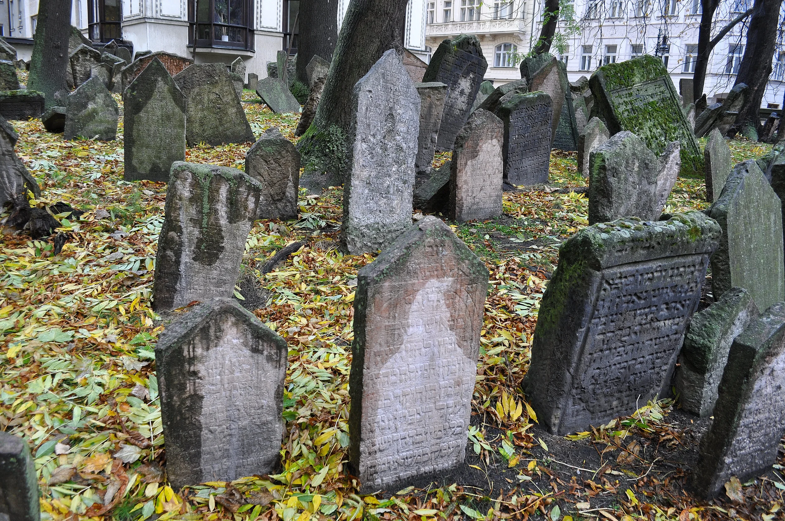 2017 - 10 - 177 Praga.JPG