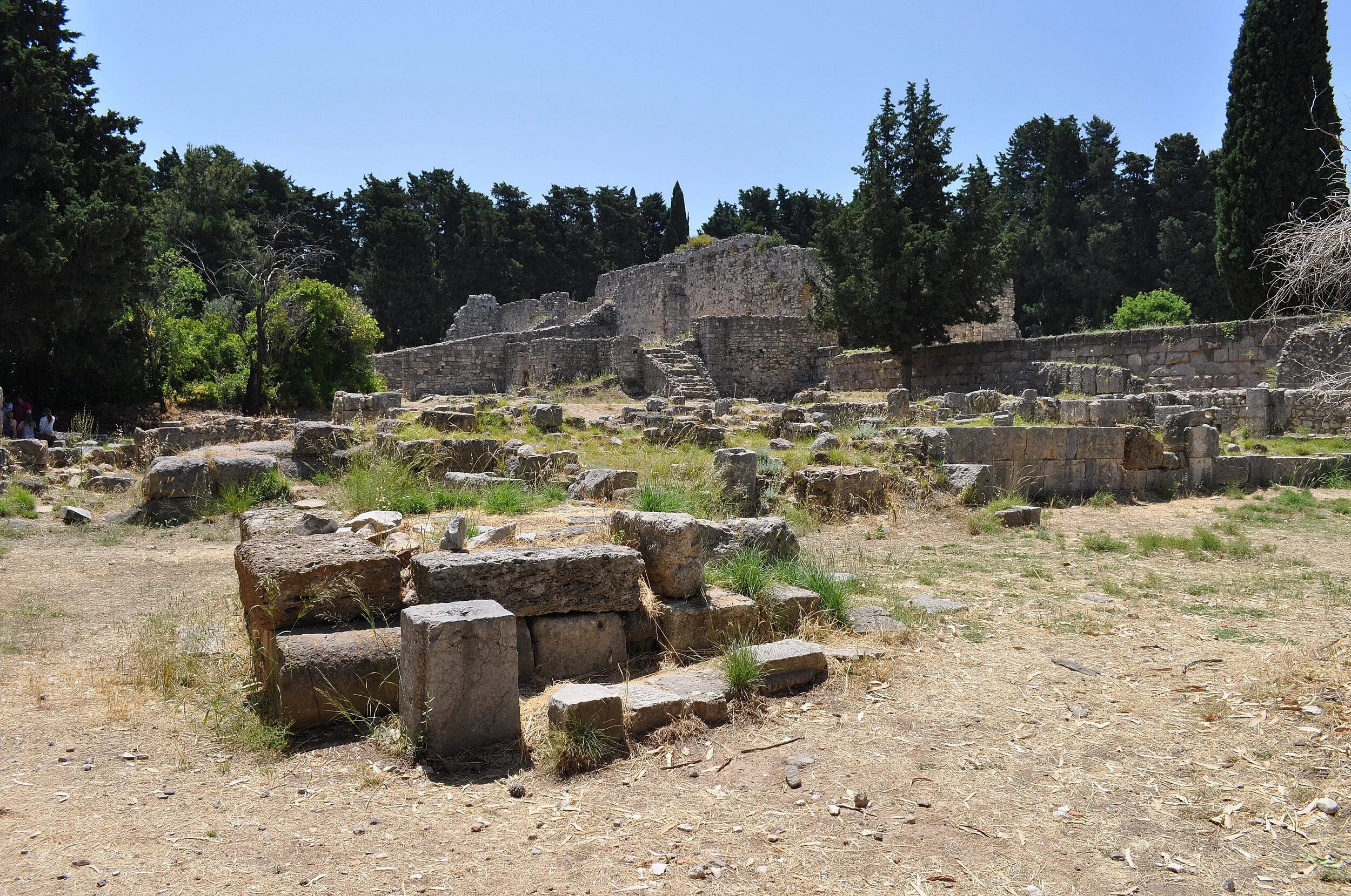 2019 - 06 - 134 Kos.JPG
