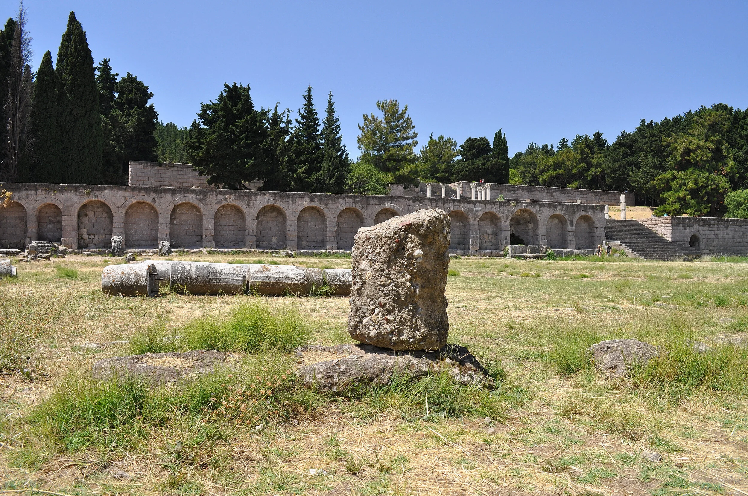 2019 - 06 - 132 Kos.JPG