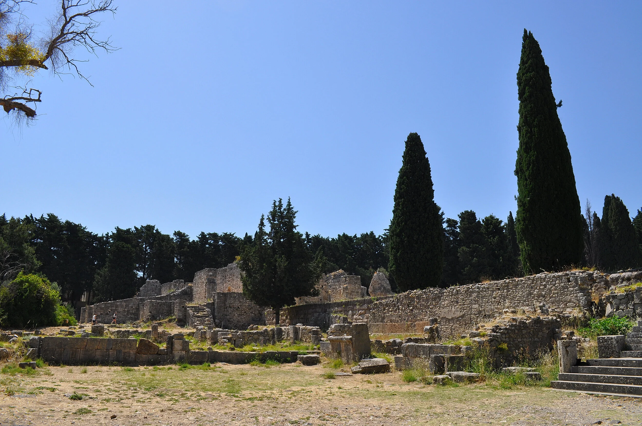 2019 - 06 - 097 Kos.JPG