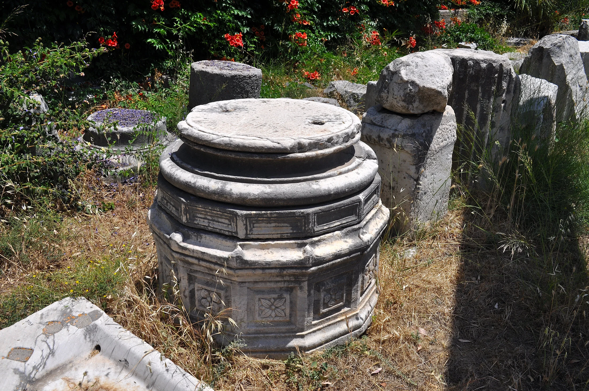 2019 - 06 - 136 Kos.JPG