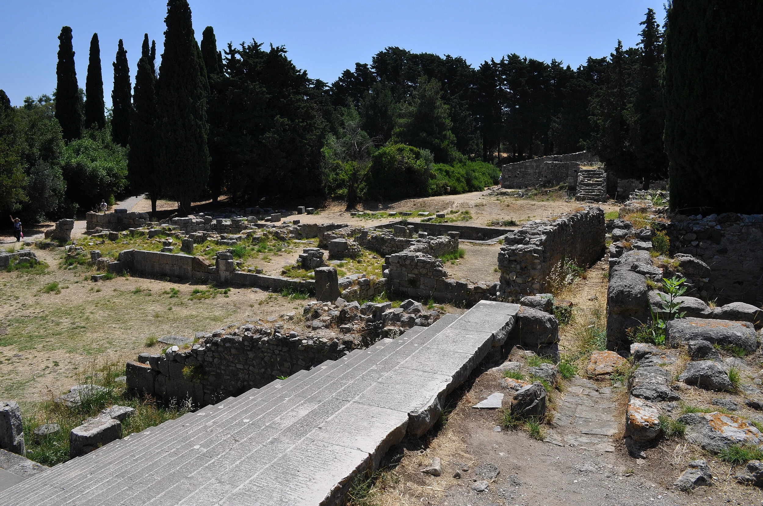 2019 - 06 - 100 Kos.JPG