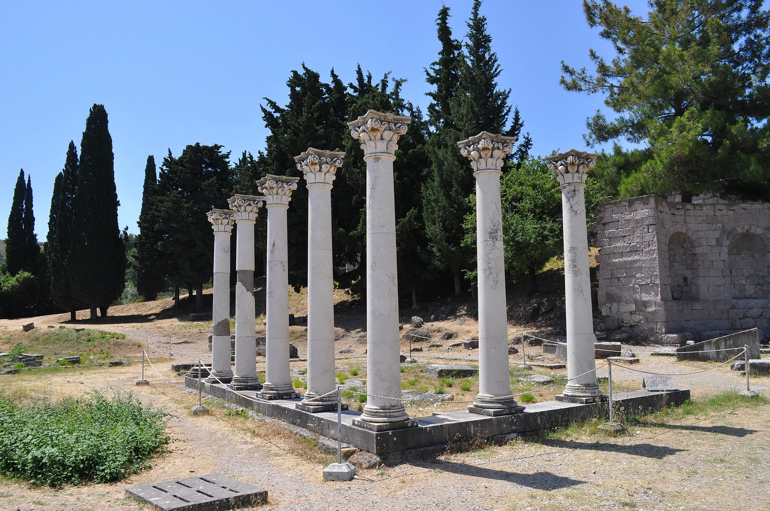 2019 - 06 - 106 Kos.JPG