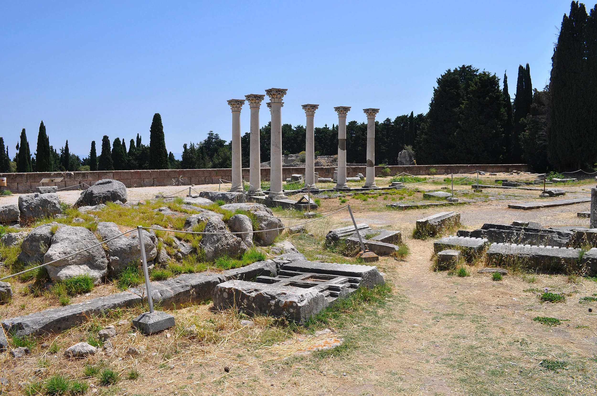 2019 - 06 - 110 Kos.JPG