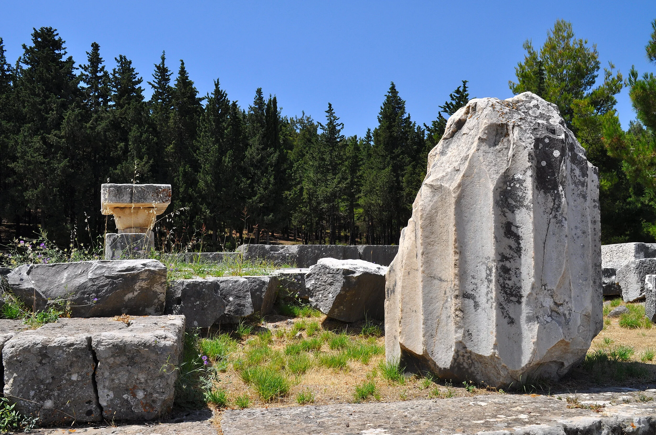 2019 - 06 - 115 Kos.JPG