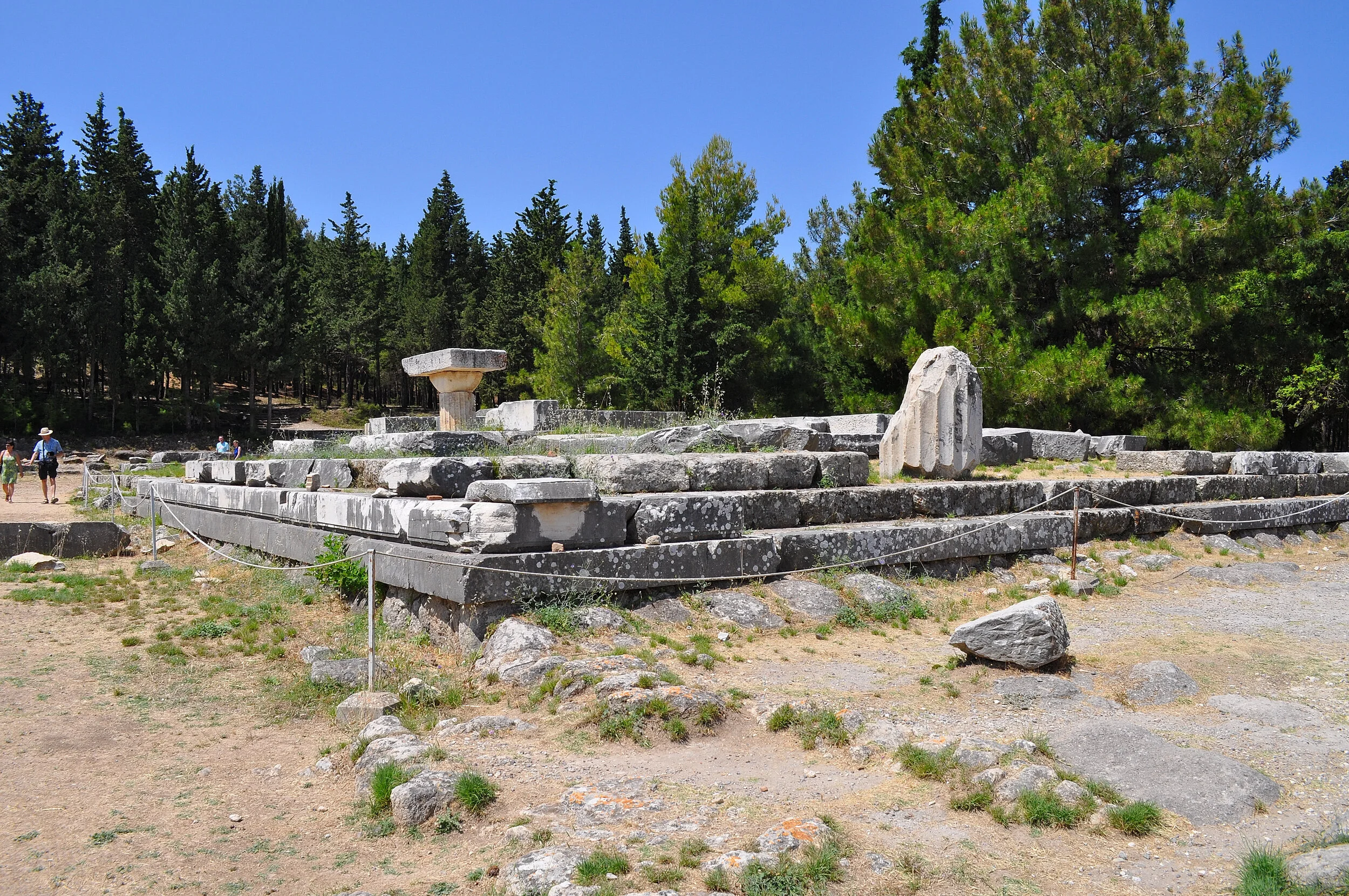 2019 - 06 - 120 Kos.JPG