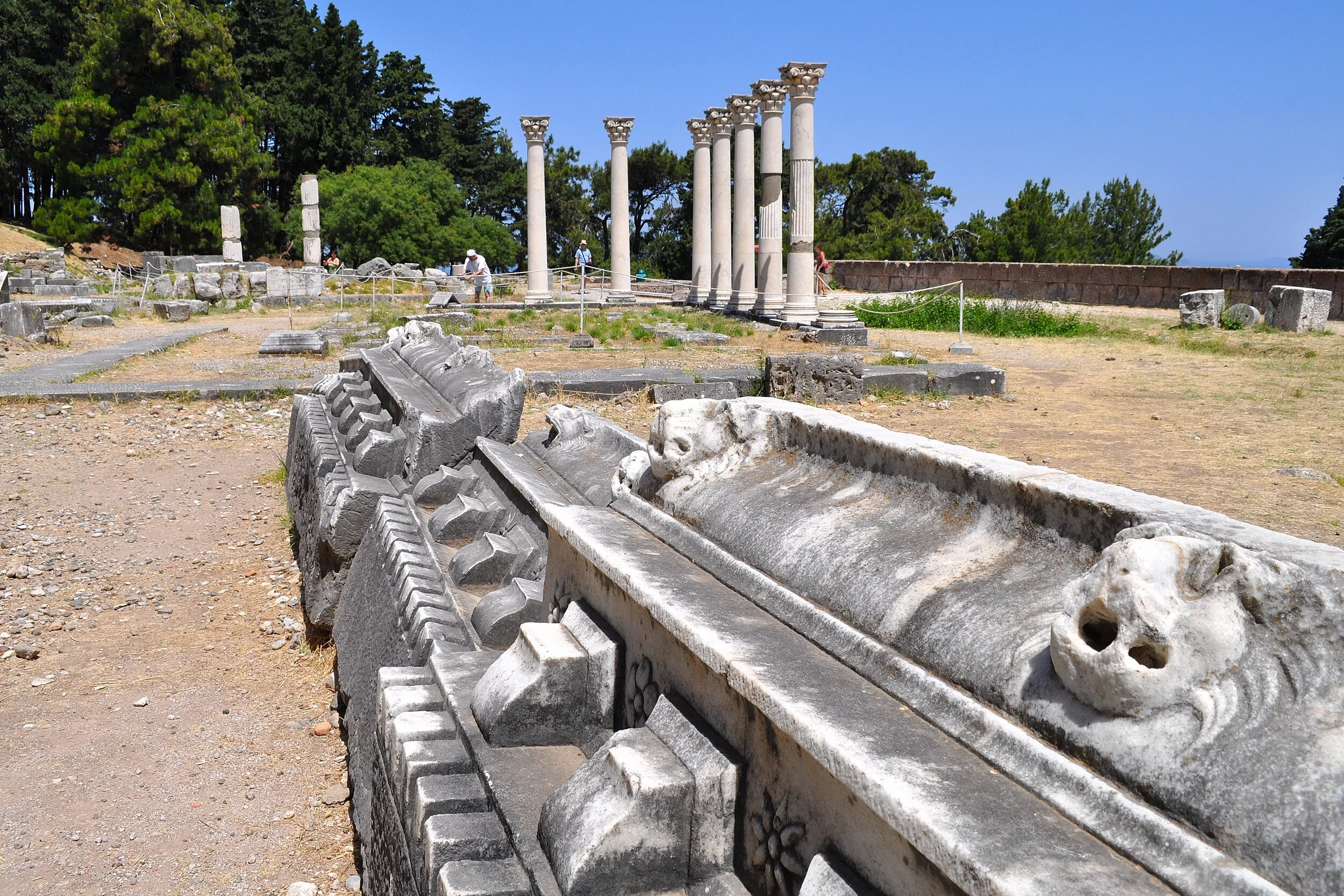 2019 - 06 - 125 Kos.JPG