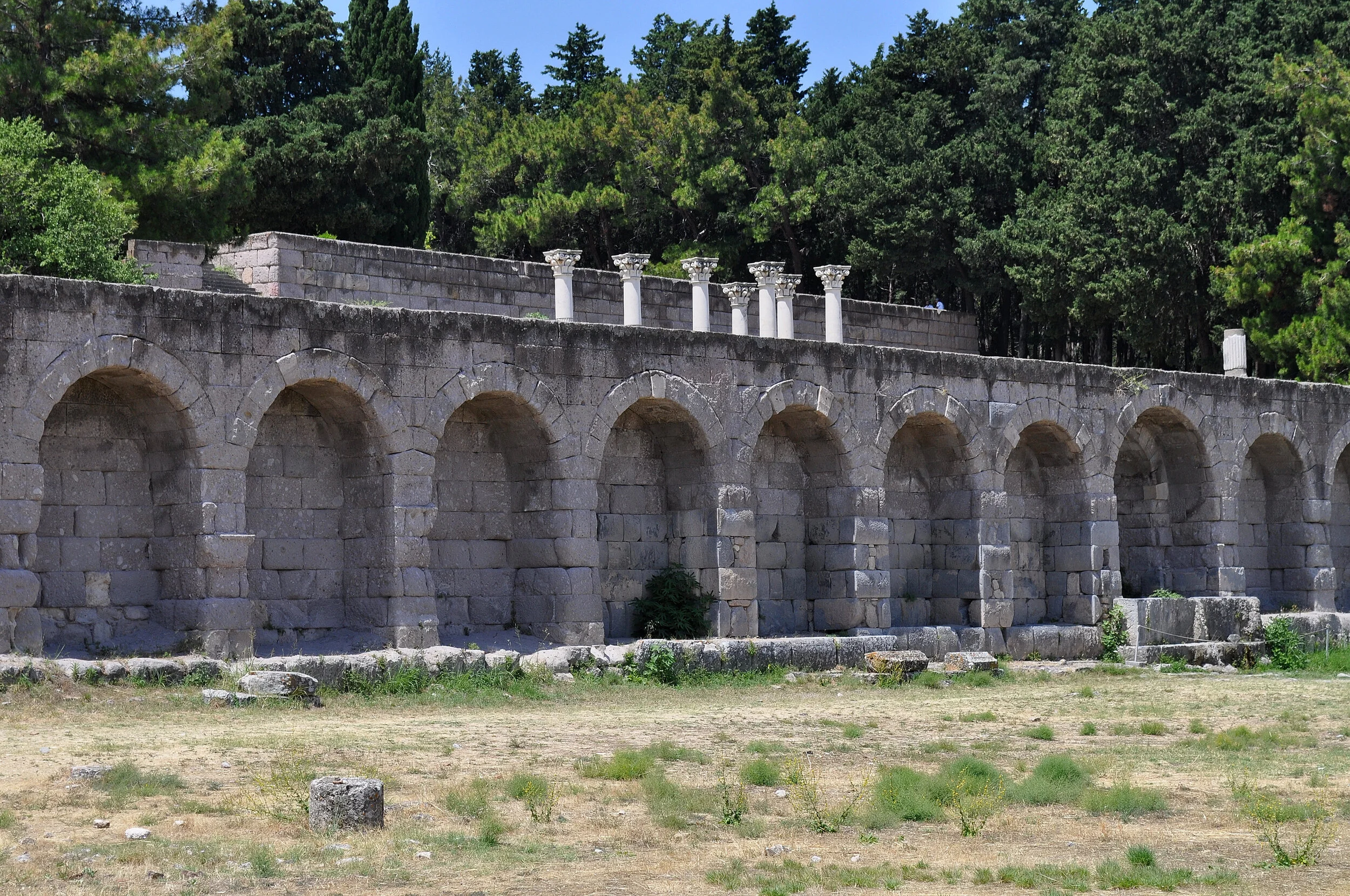 2019 - 06 - 130 Kos.JPG