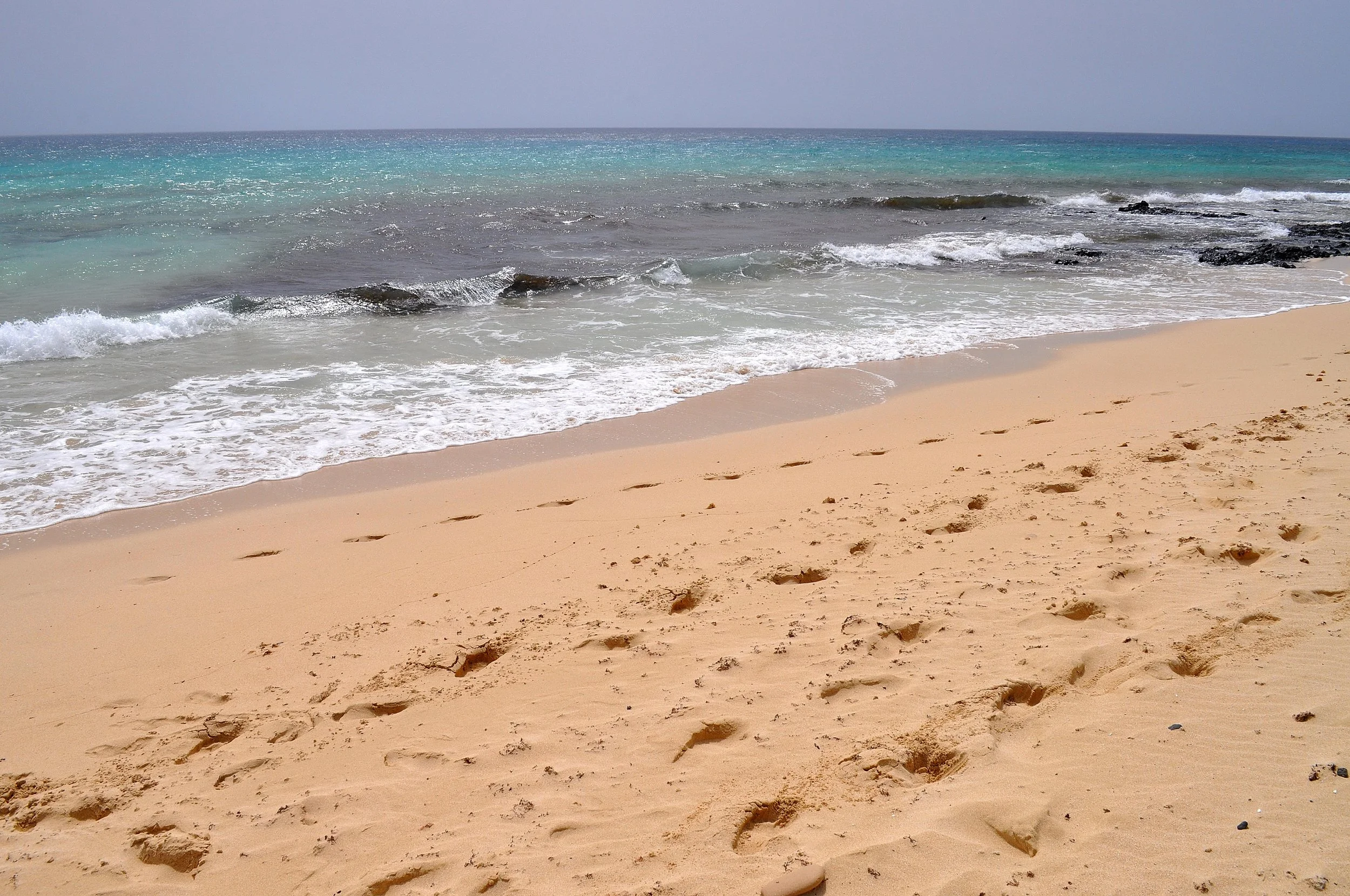 2022 - 07 - 229 Fuerteventura.JPG