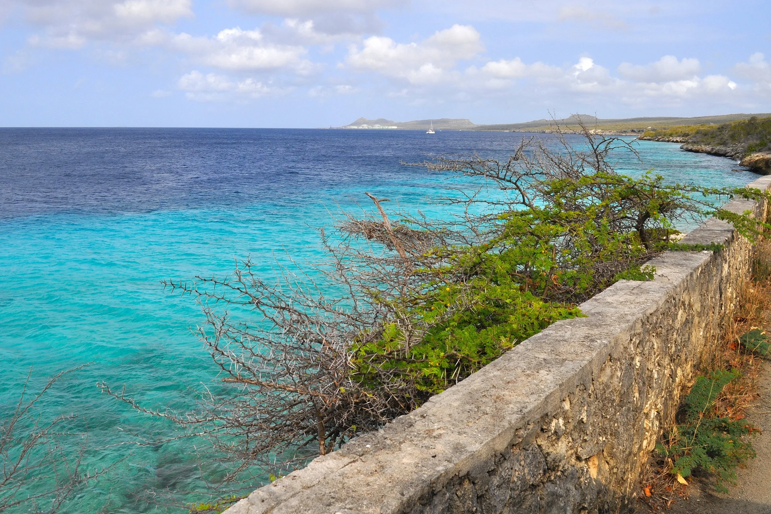 2018 - 03 - 256 Crociera ai Caraibi.JPG
