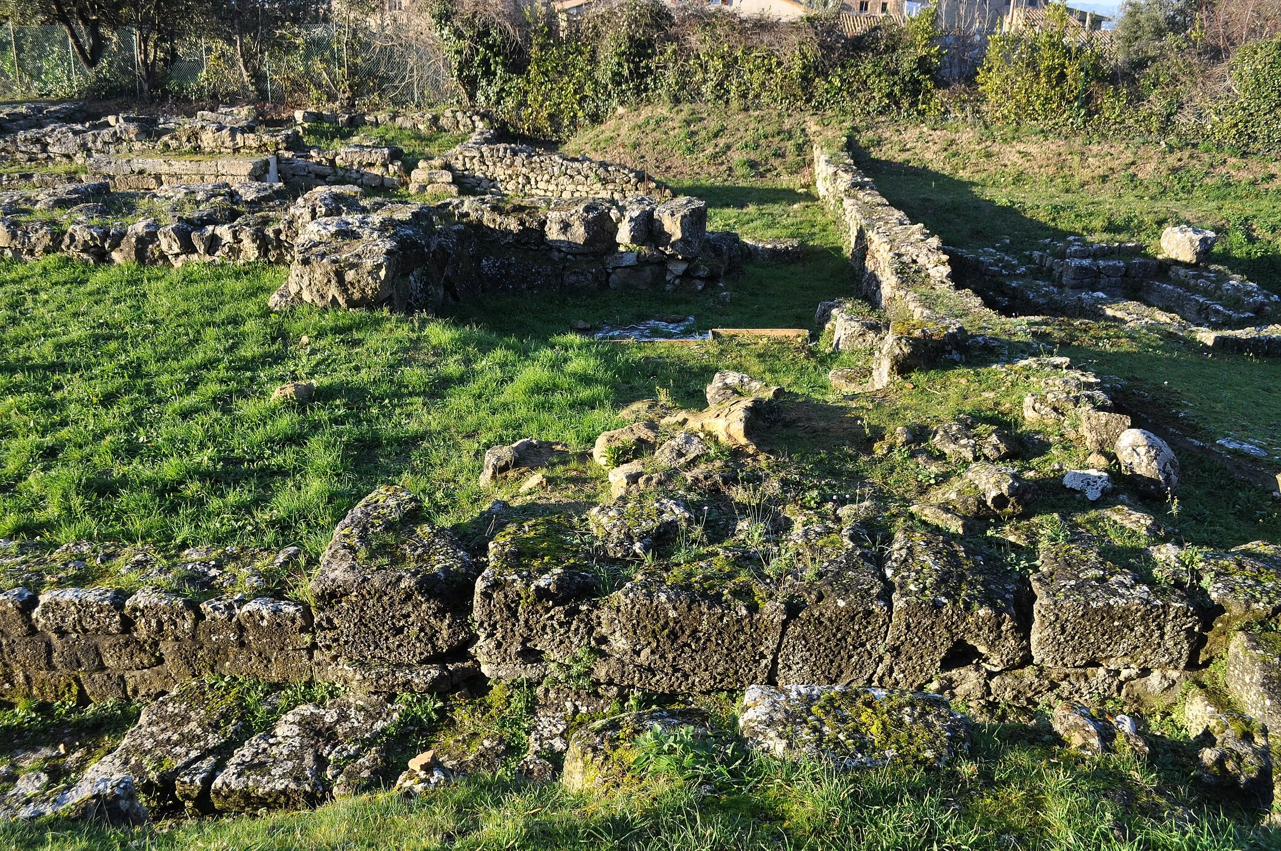 2025 - 12 - 221 Capodanno a Siena.JPG