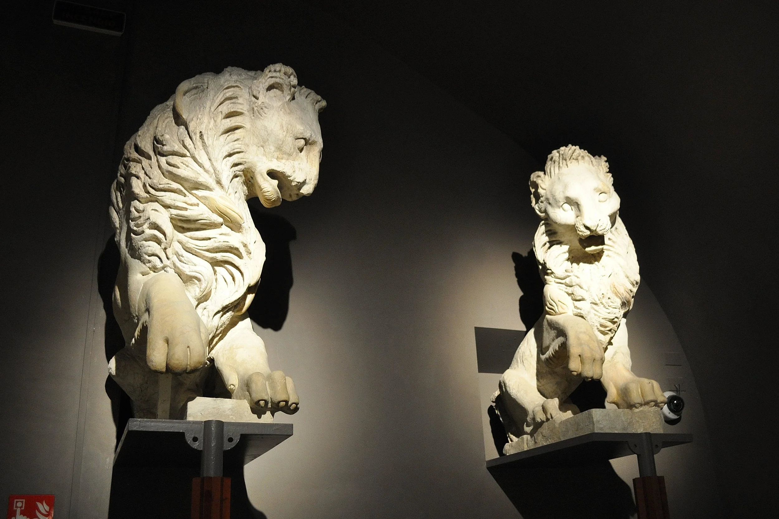 2025 - 12 - 349 Capodanno a Siena.JPG